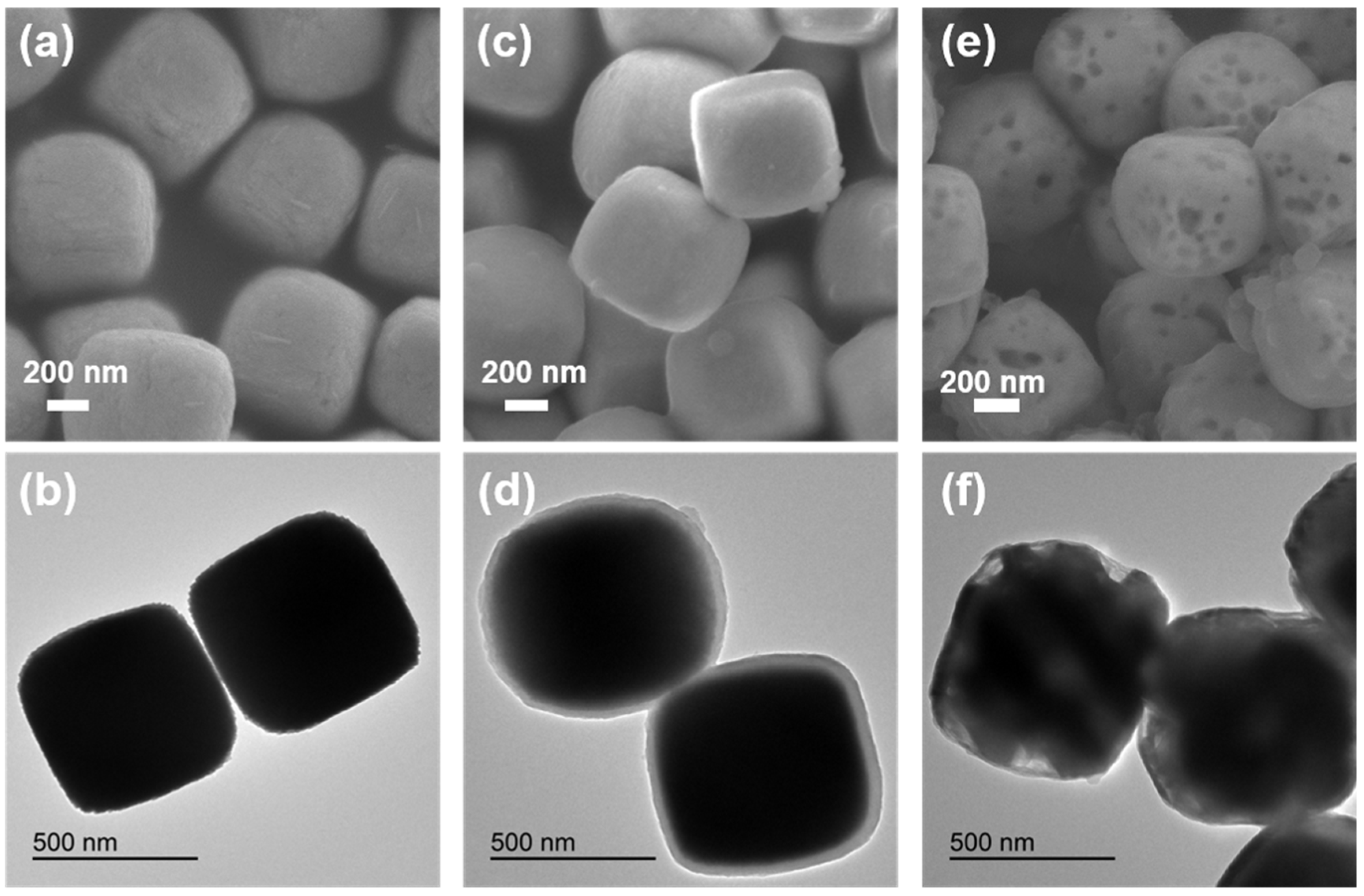 Molecules 27 00396 g001