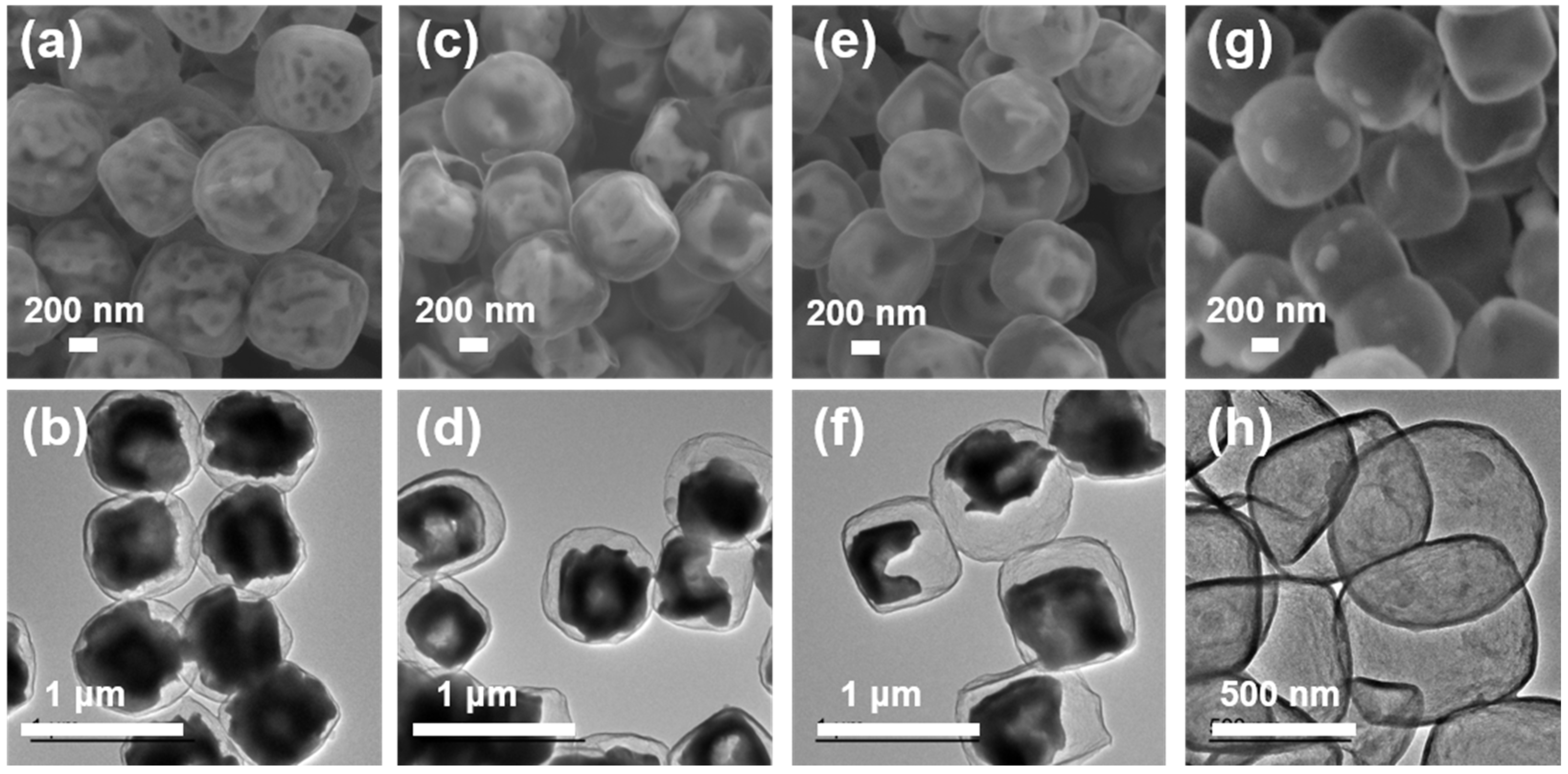 Molecules 27 00396 g002