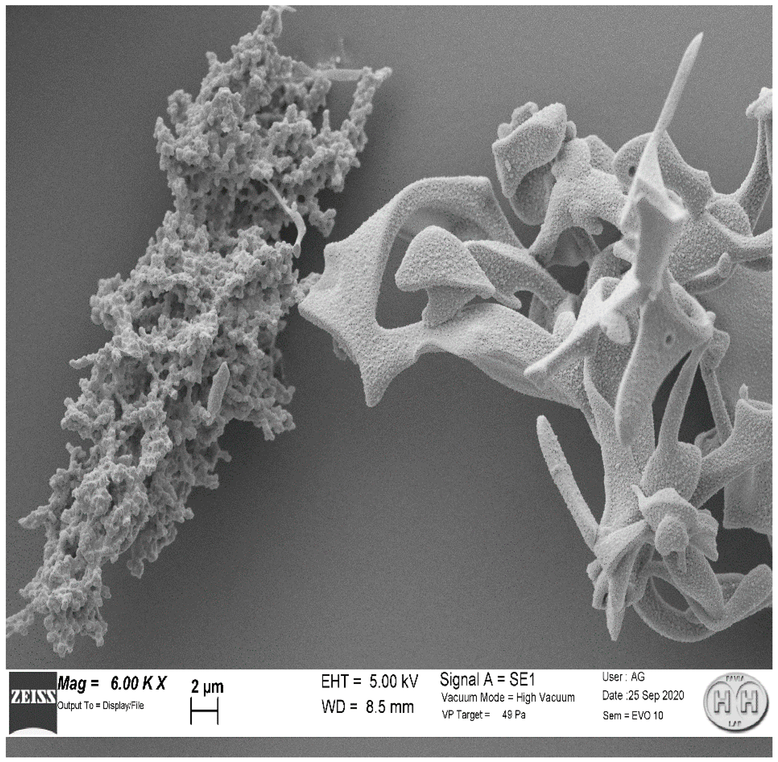 Molecules 27 00404 g002
