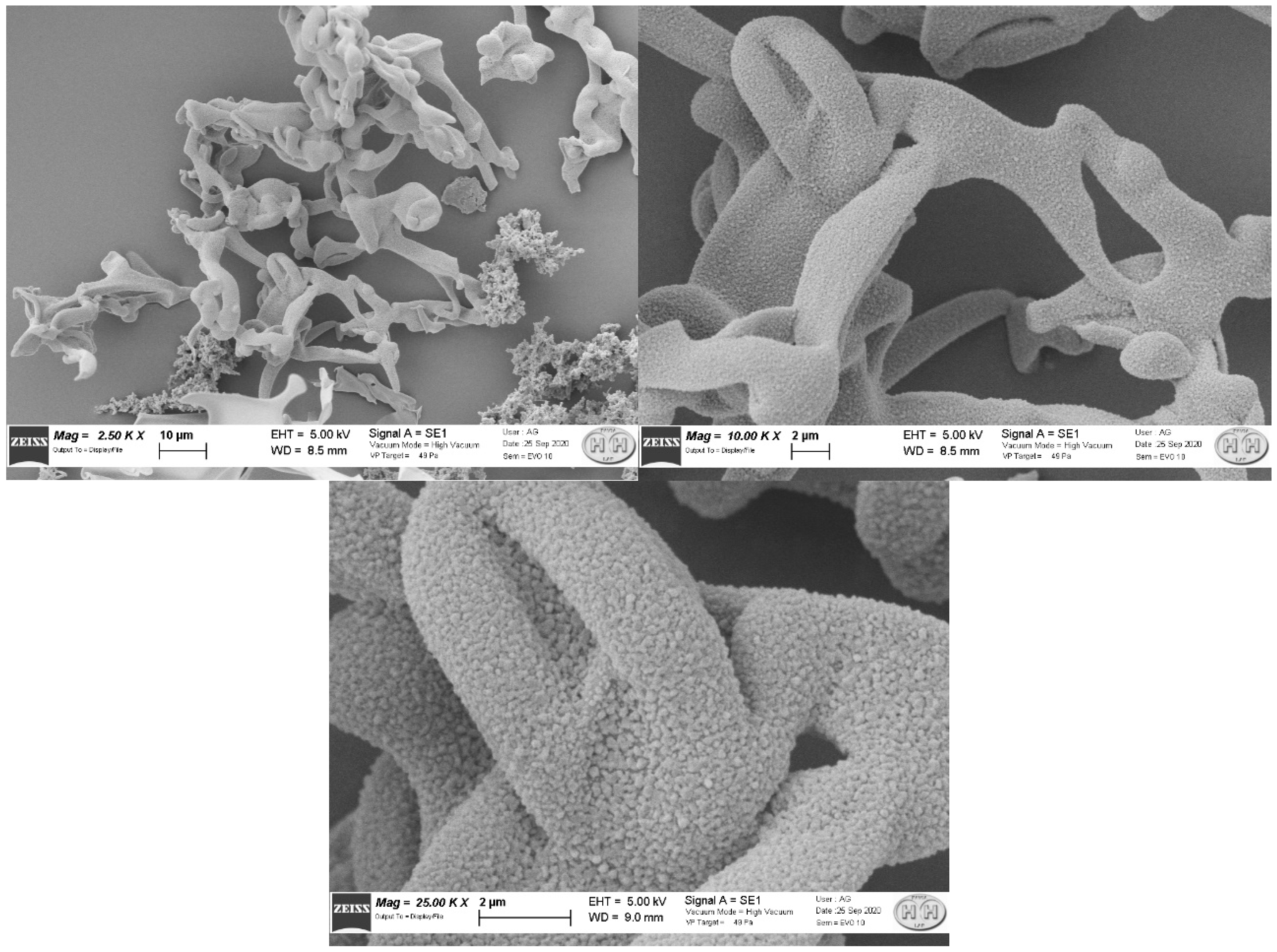 Molecules 27 00404 g003