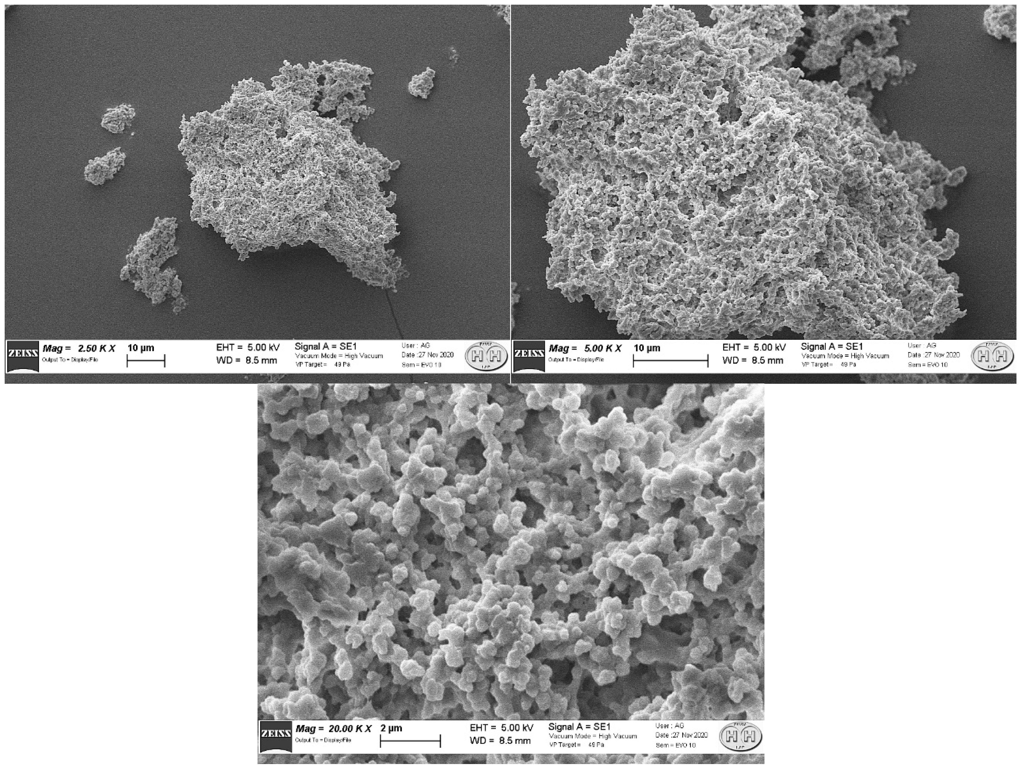 Molecules 27 00404 g004
