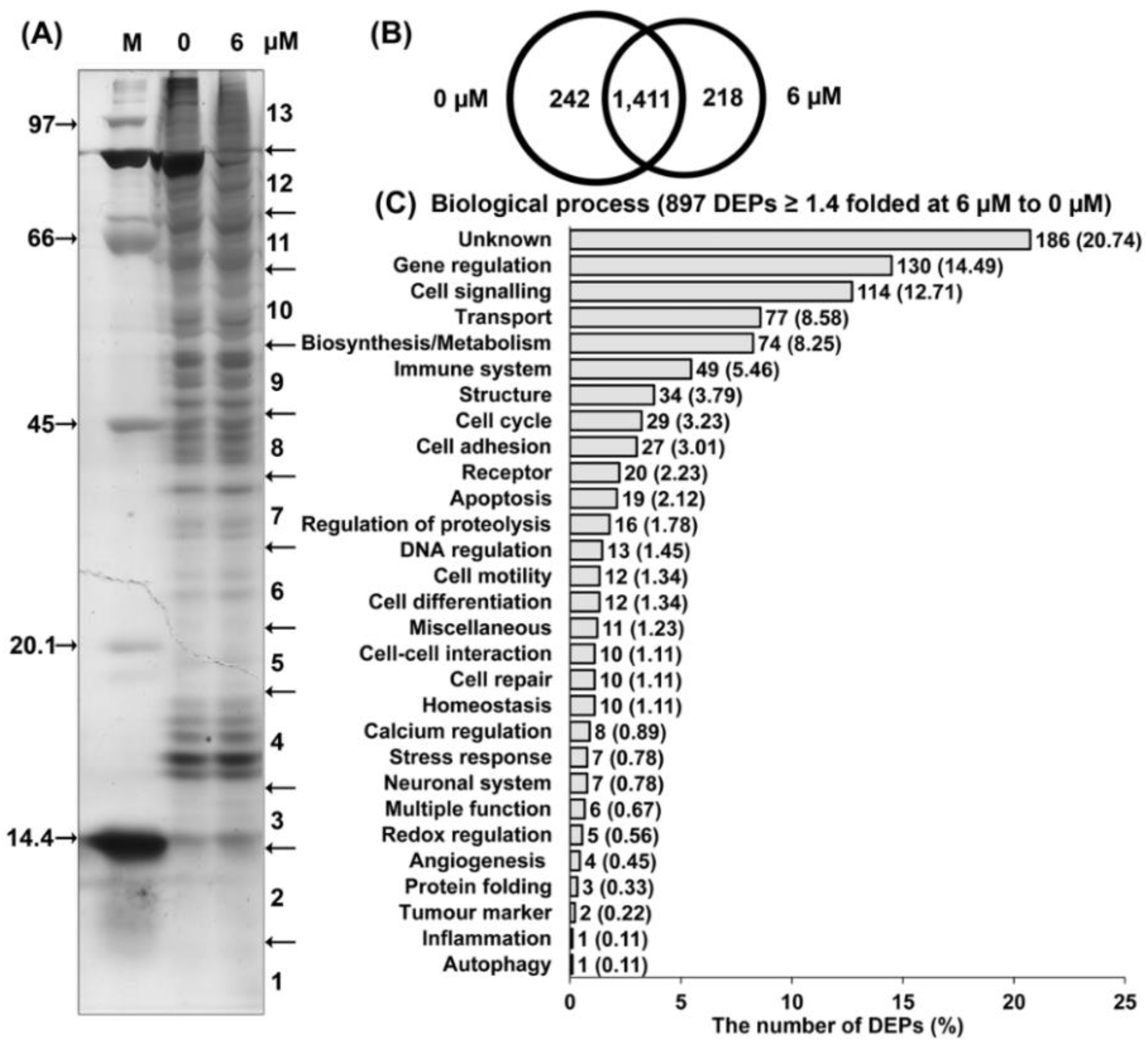 Molecules 27 00407 g003 Molecules 27 00407 g003