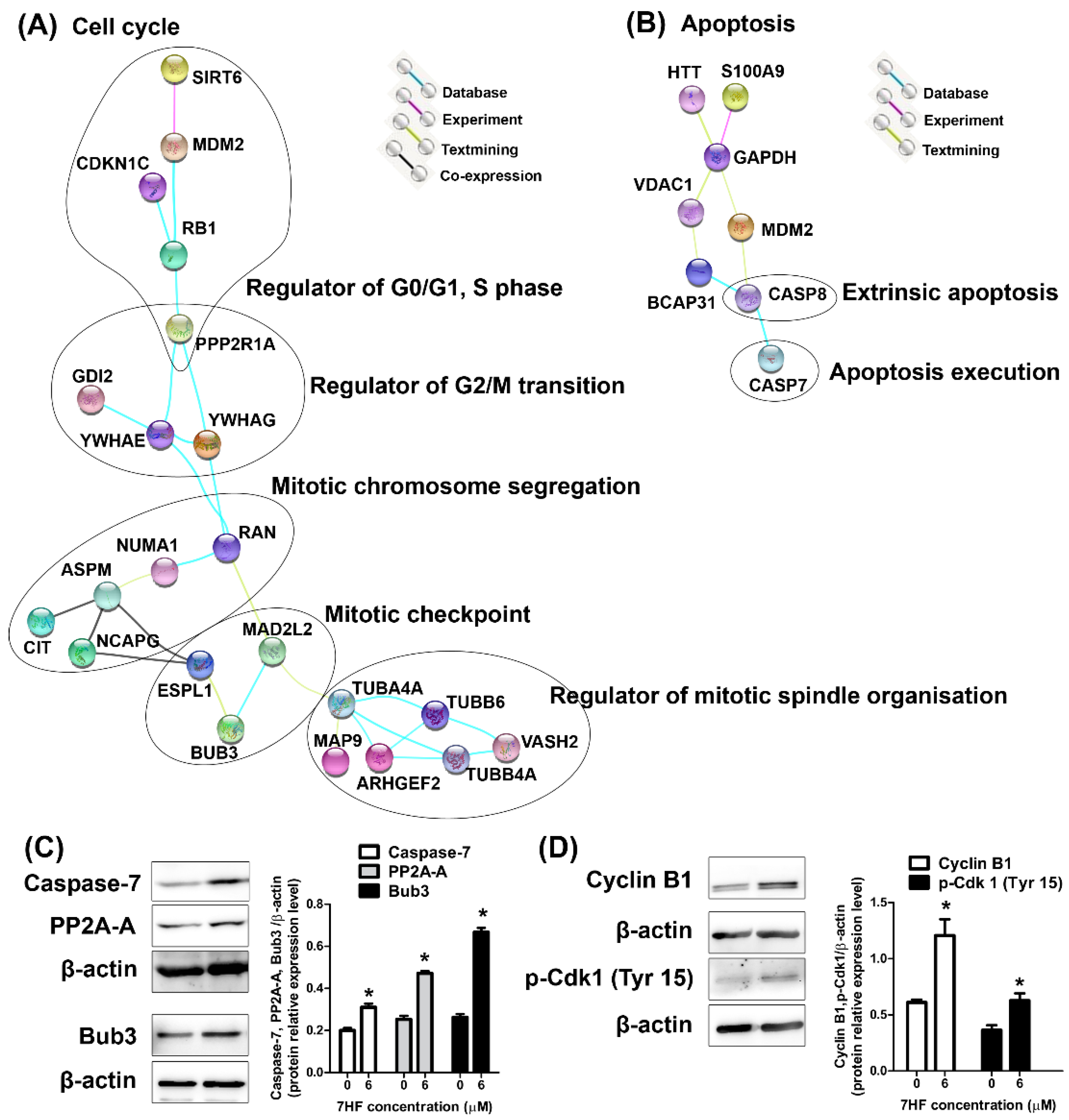 Molecules 27 00407 g004 Molecules 27 00407 g004