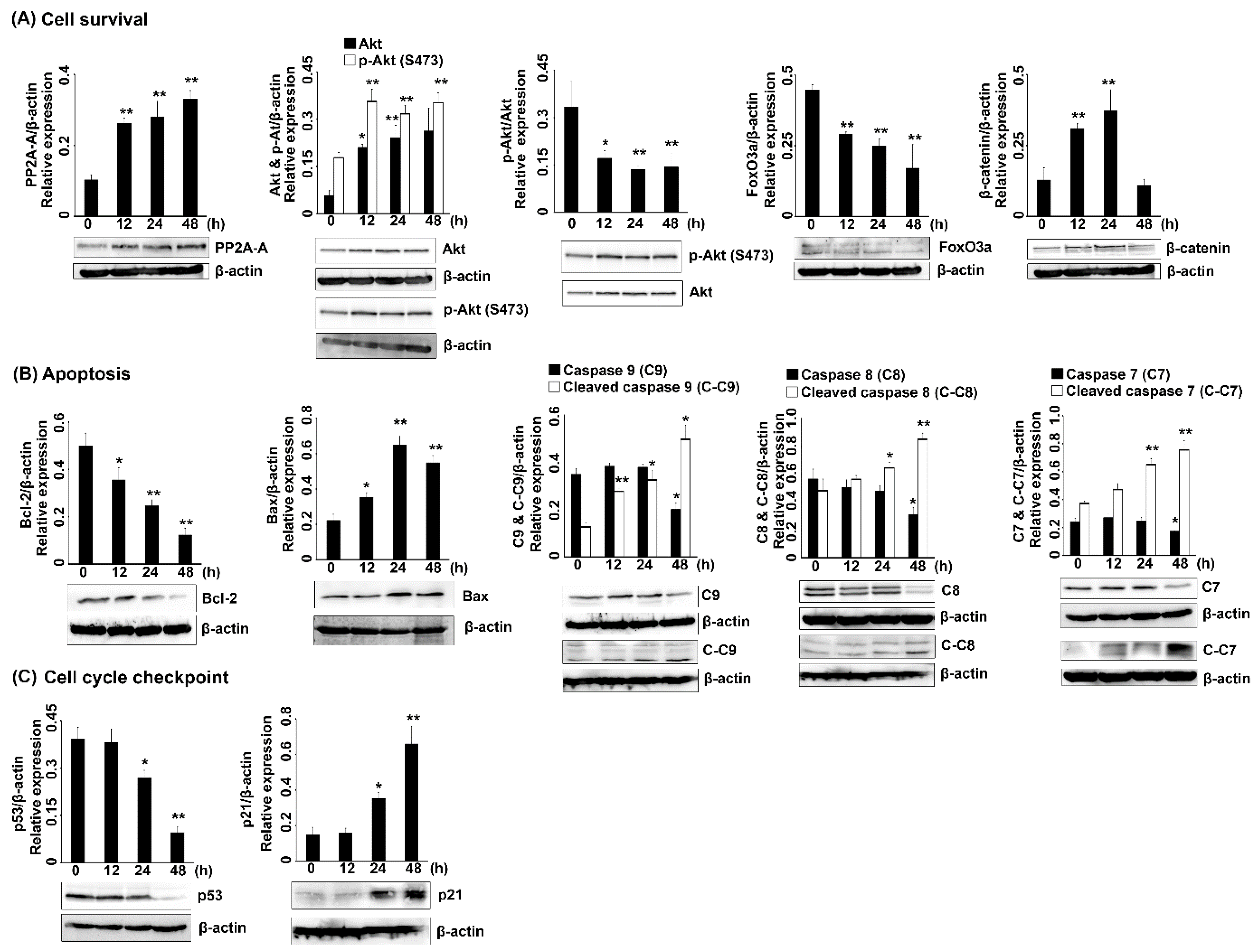 Molecules 27 00407 g005 Molecules 27 00407 g005