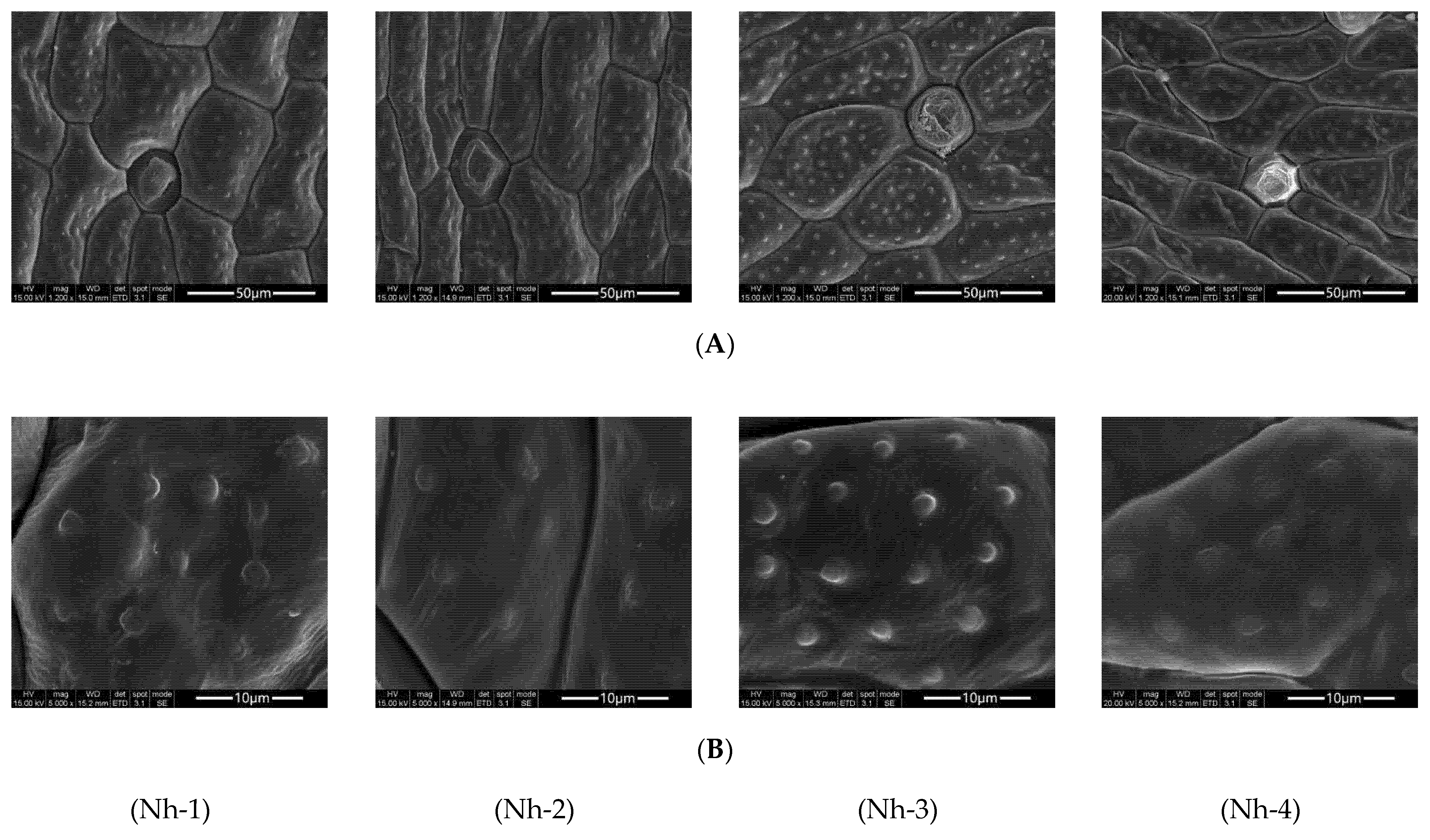 Molecules 27 00408 g002
