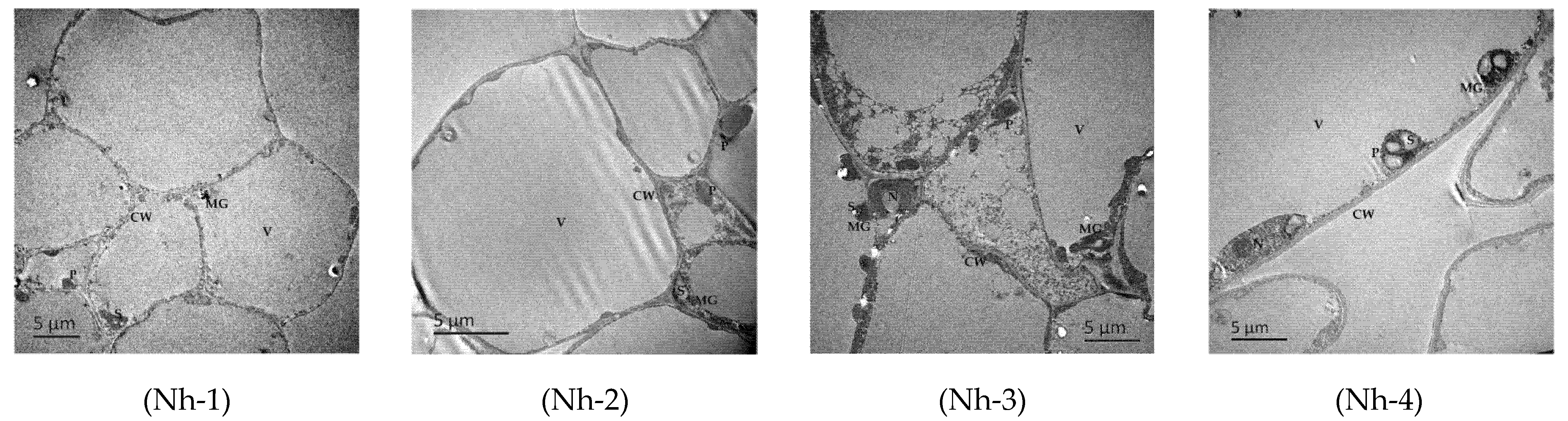 Molecules 27 00408 g003