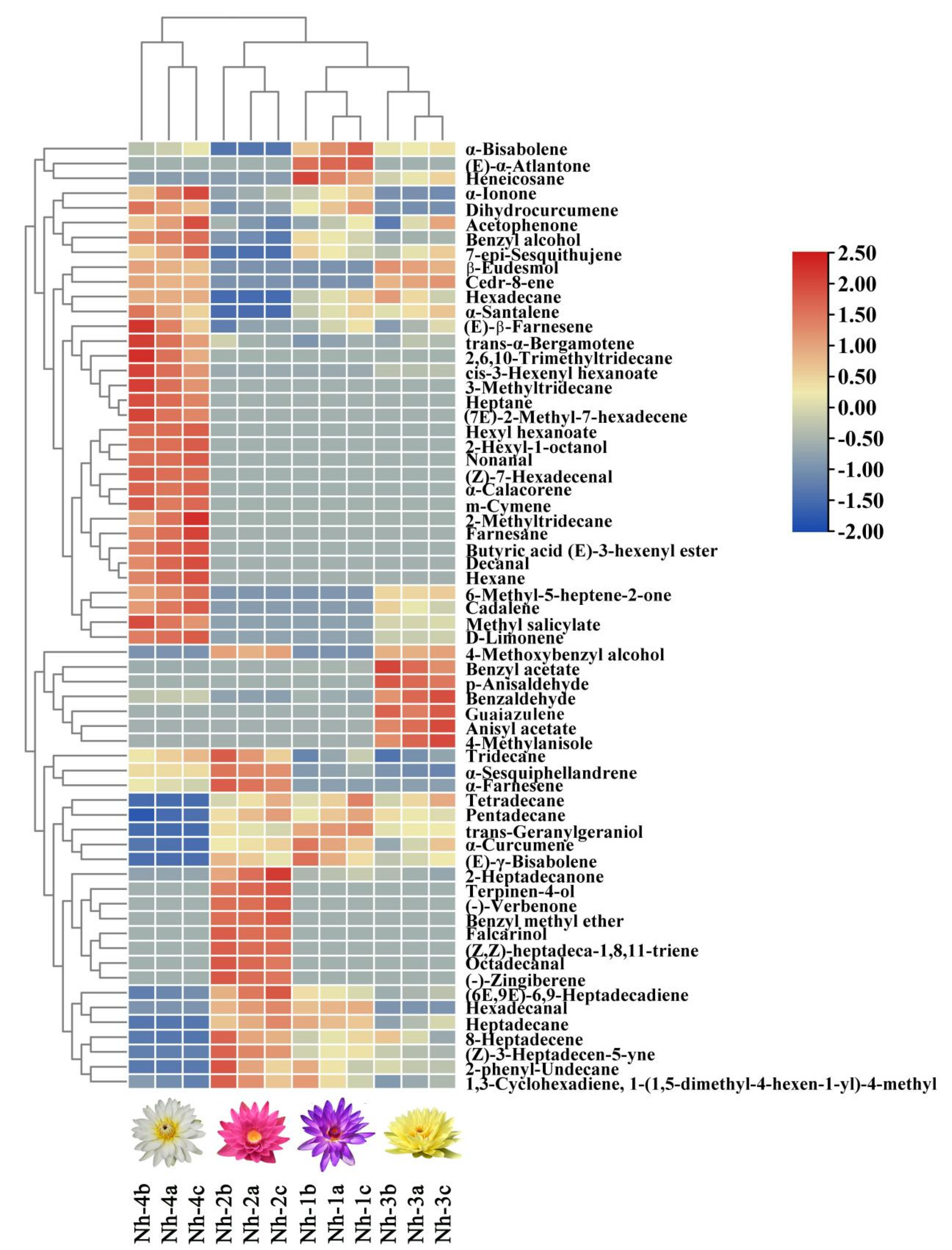 Molecules 27 00408 g006