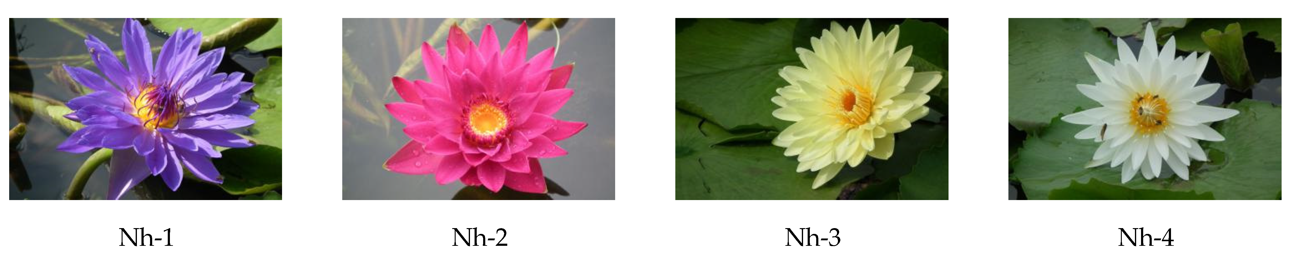 Molecules 27 00408 g008