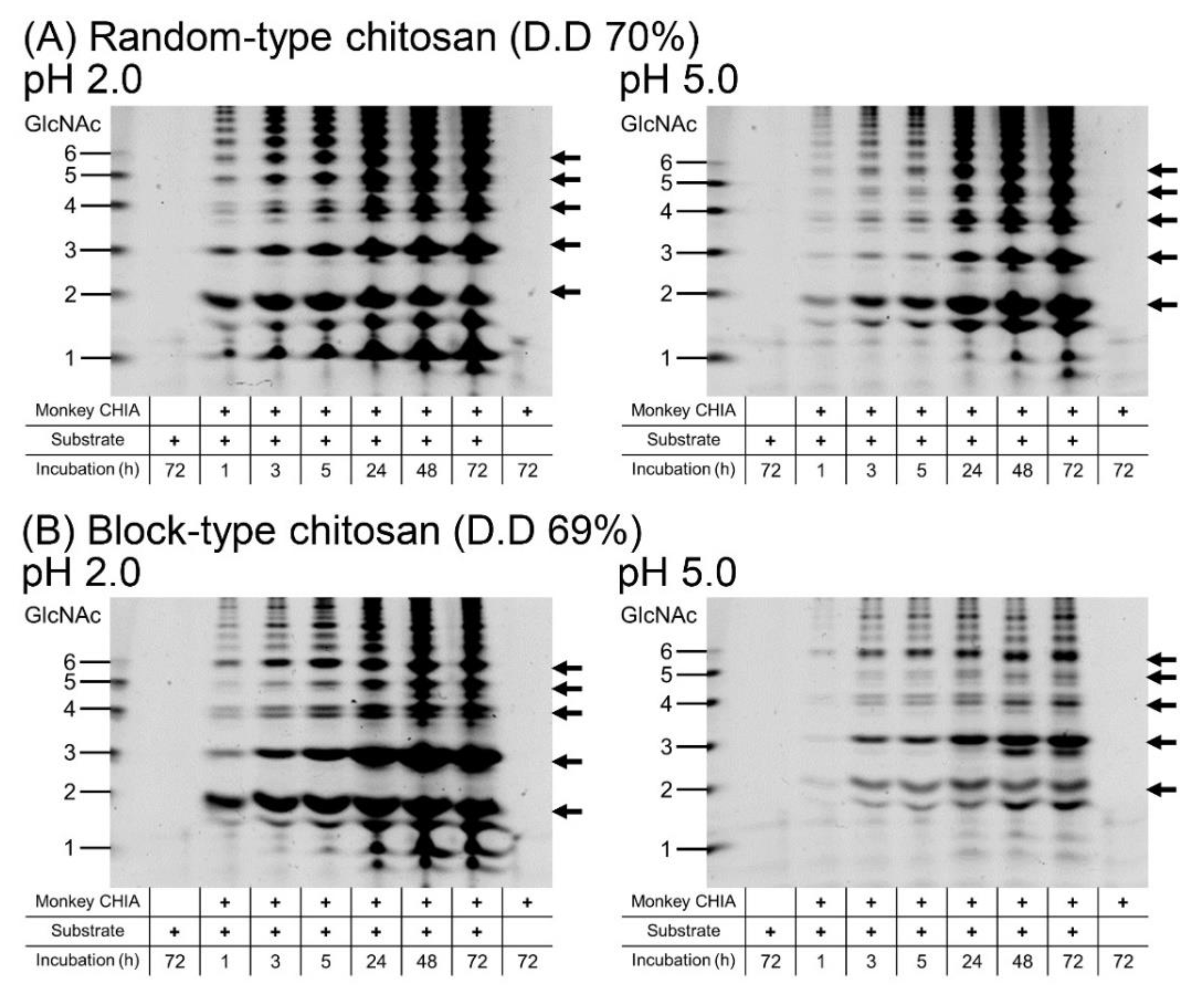 Molecules 27 00409 g003