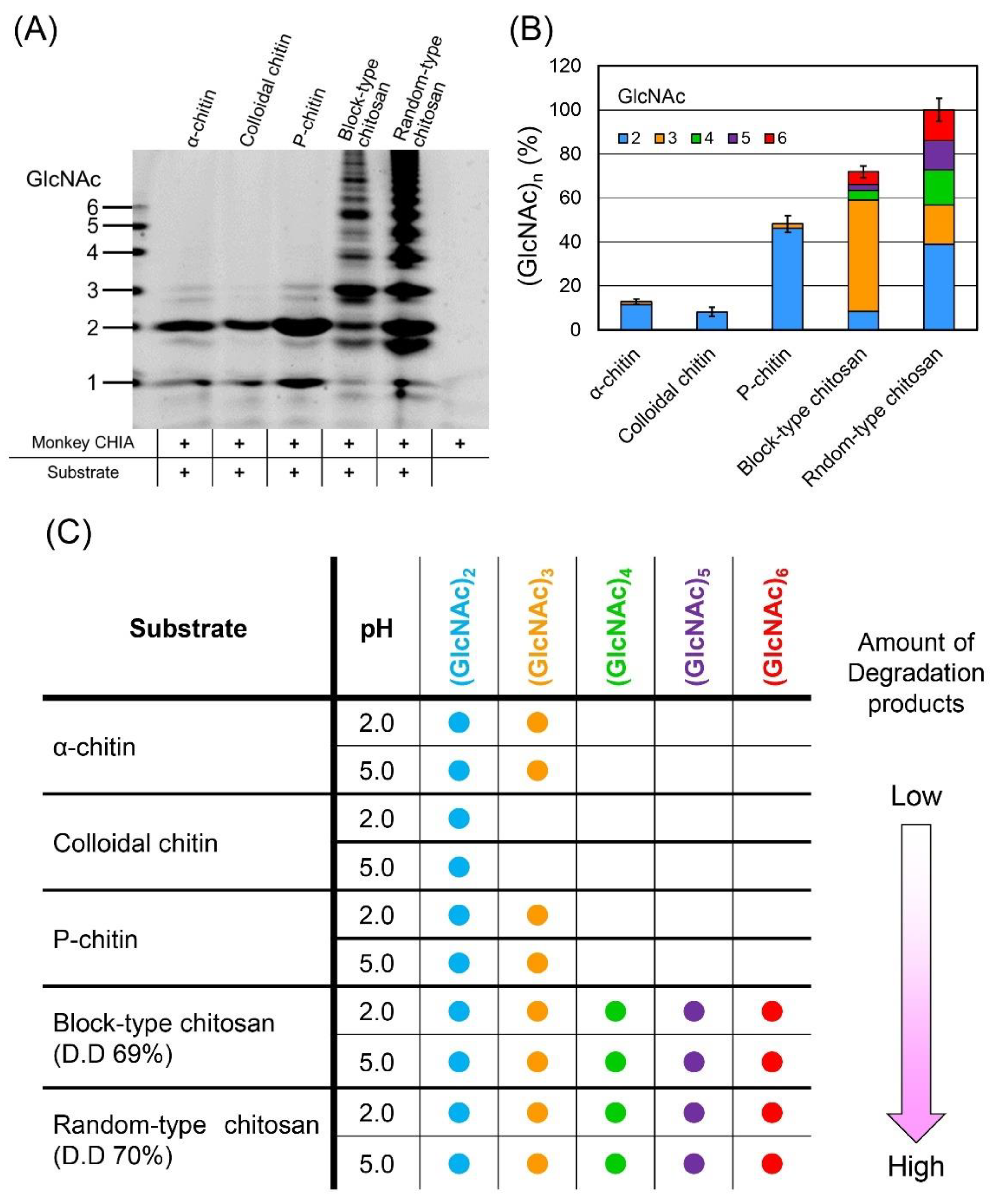 Molecules 27 00409 g004