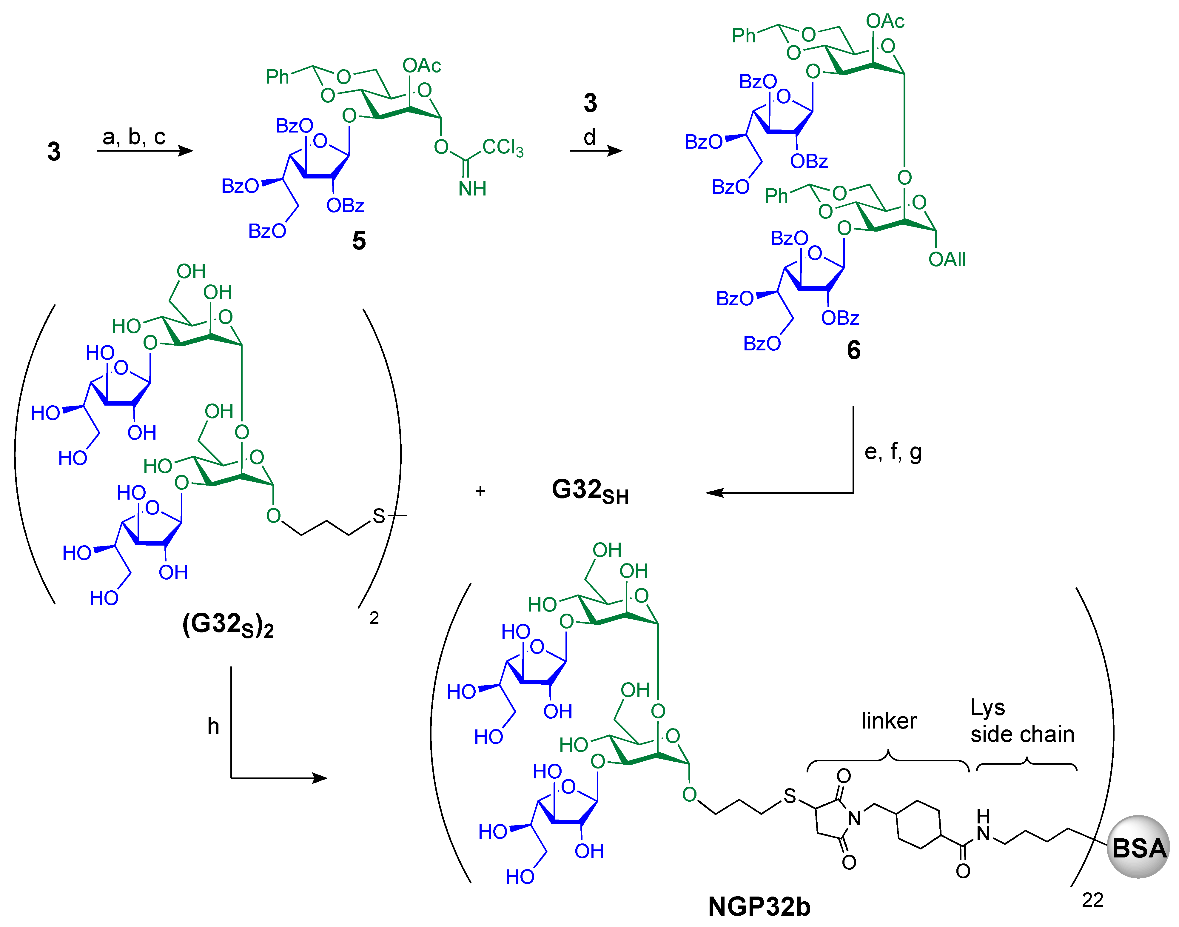 Molecules 27 00411 sch002
