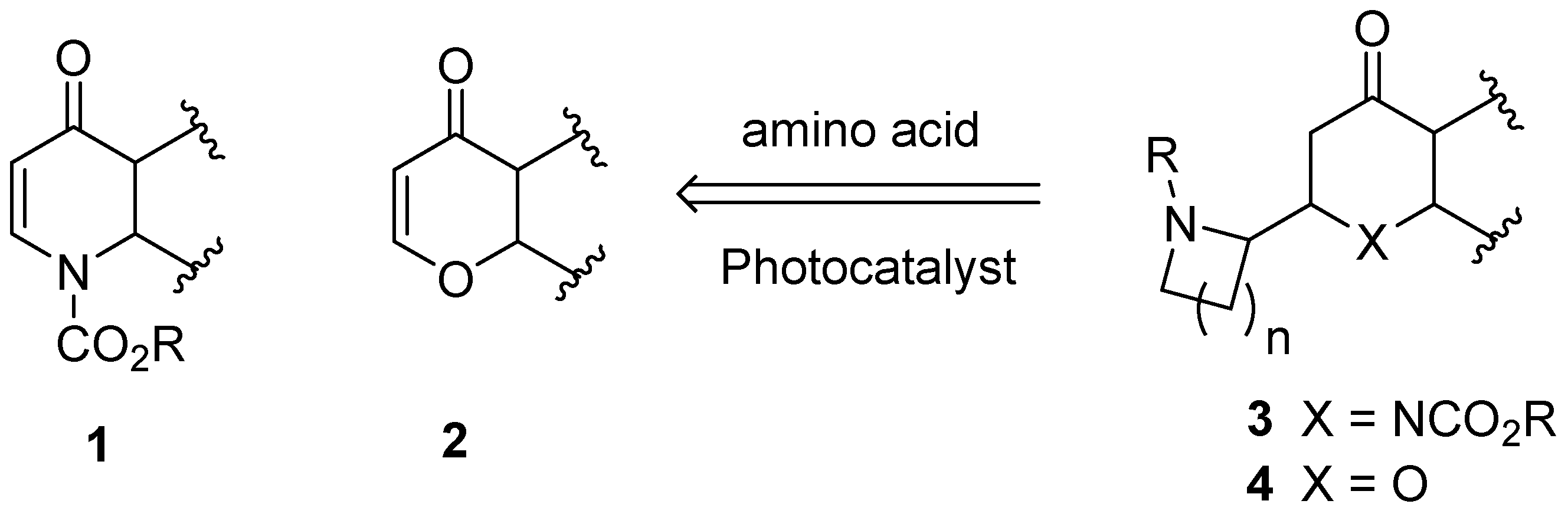 Molecules 27 00417 g001