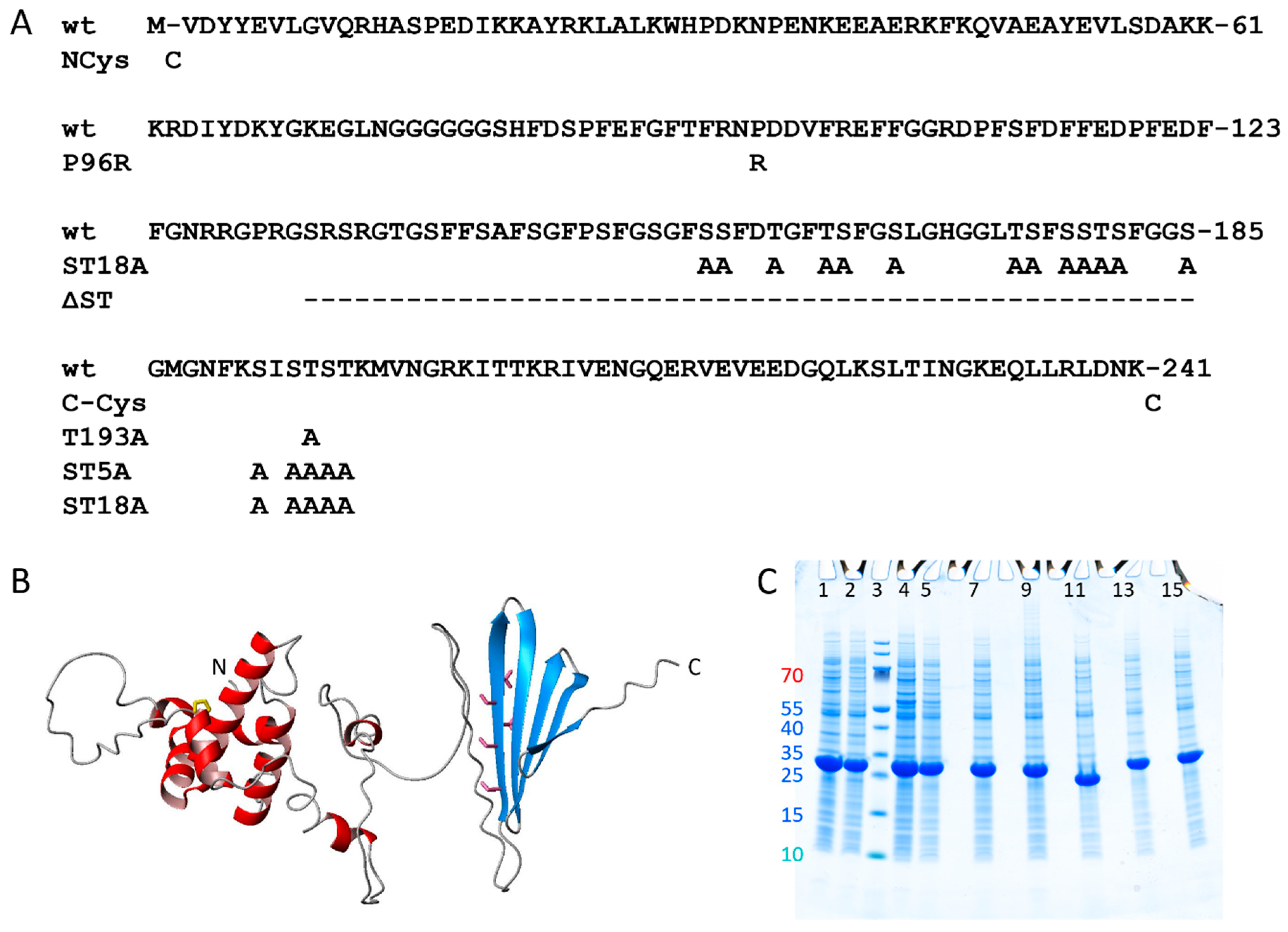 Molecules 27 00418 g001