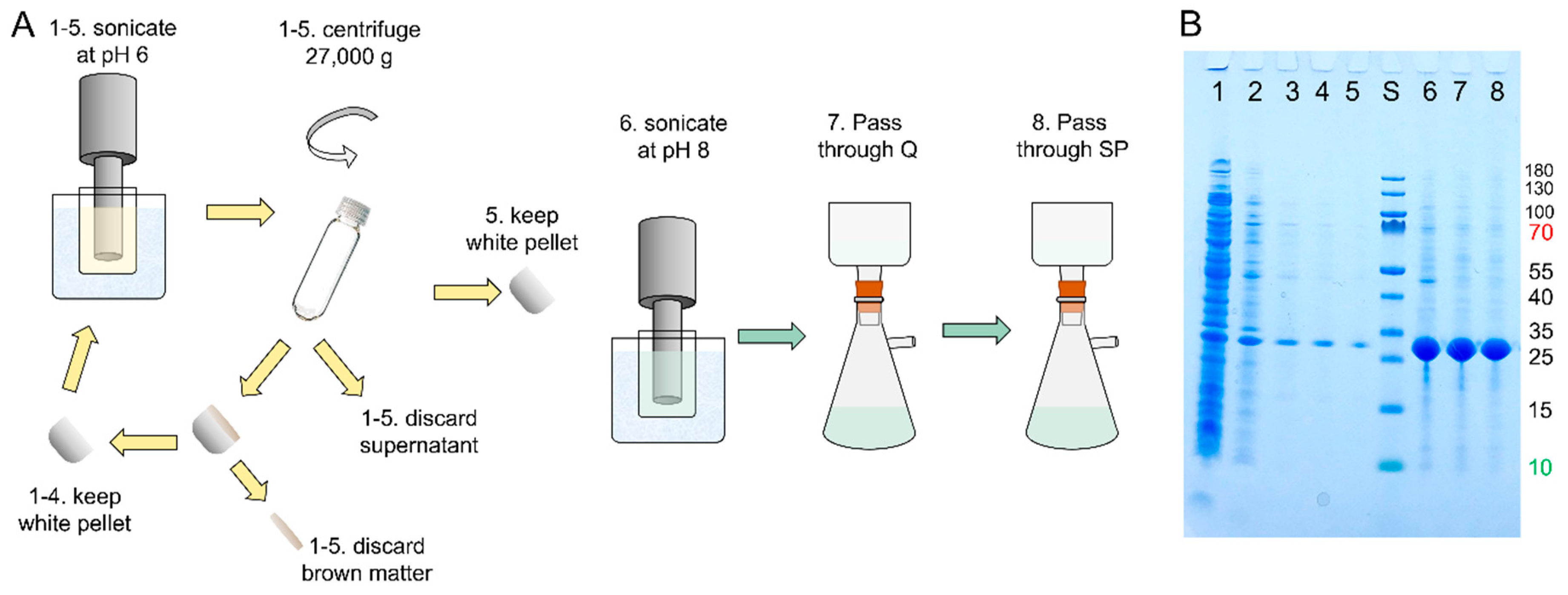Molecules 27 00418 g002