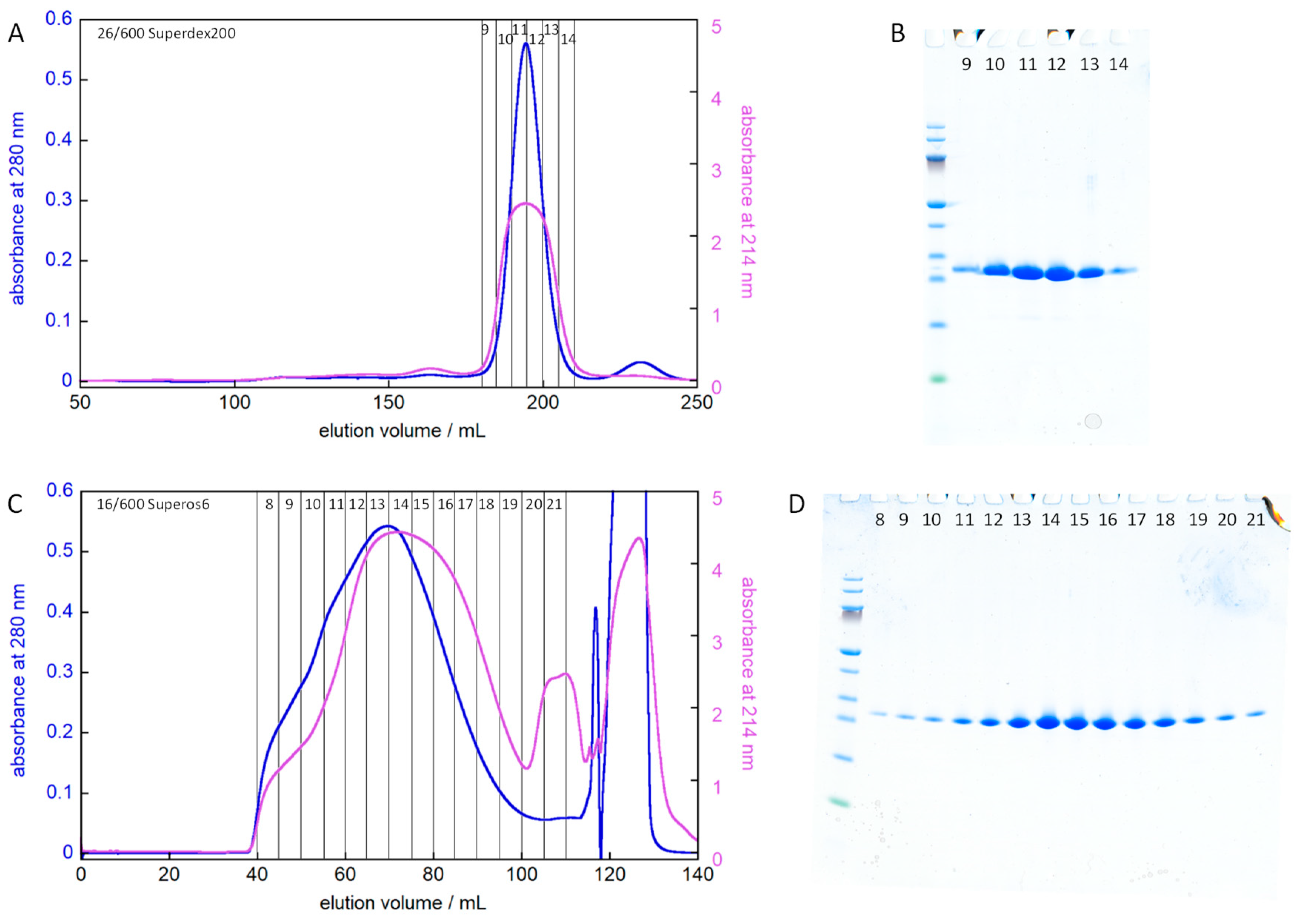 Molecules 27 00418 g003
