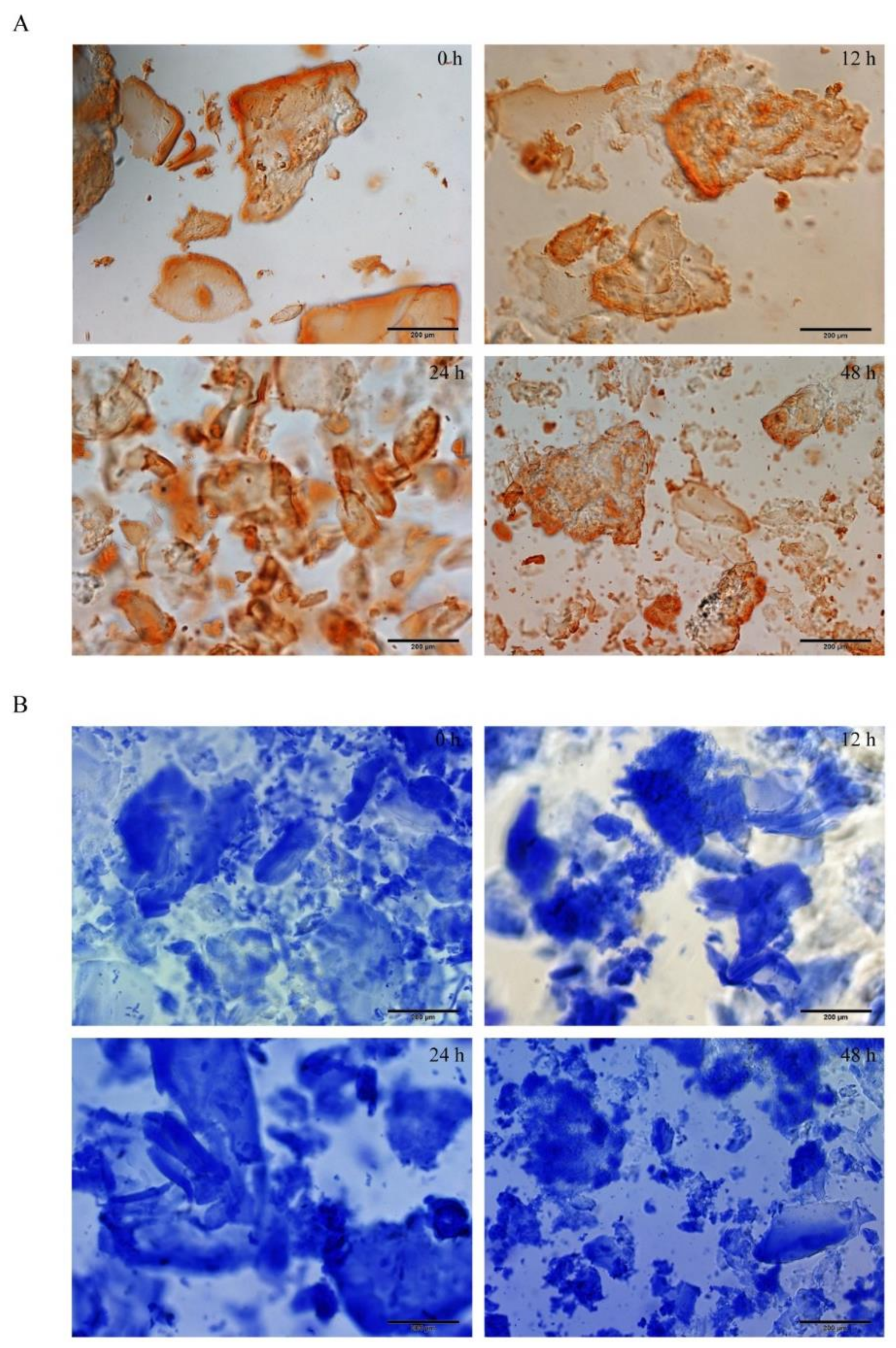 Molecules 27 00419 g001