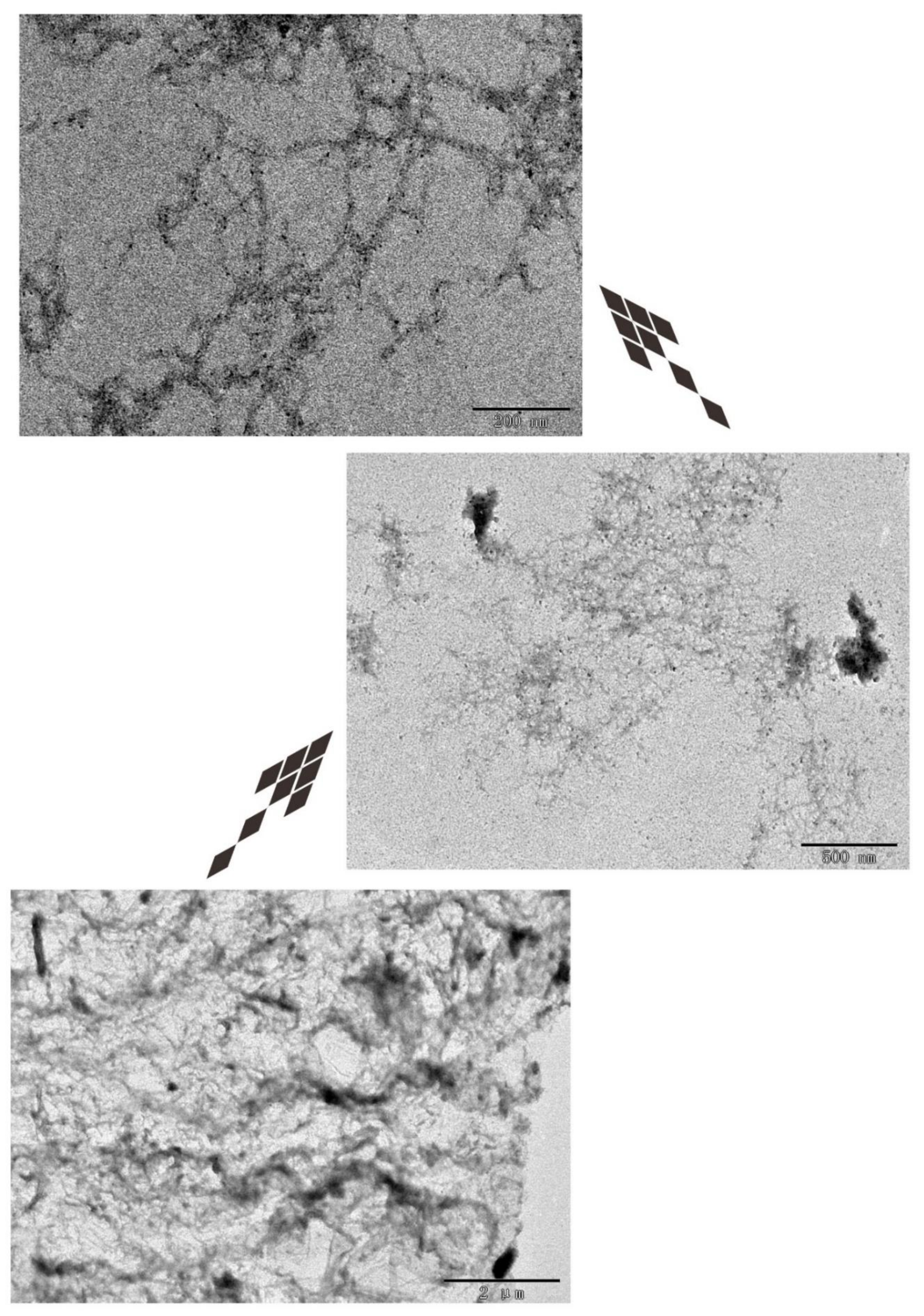 Molecules 27 00419 g007