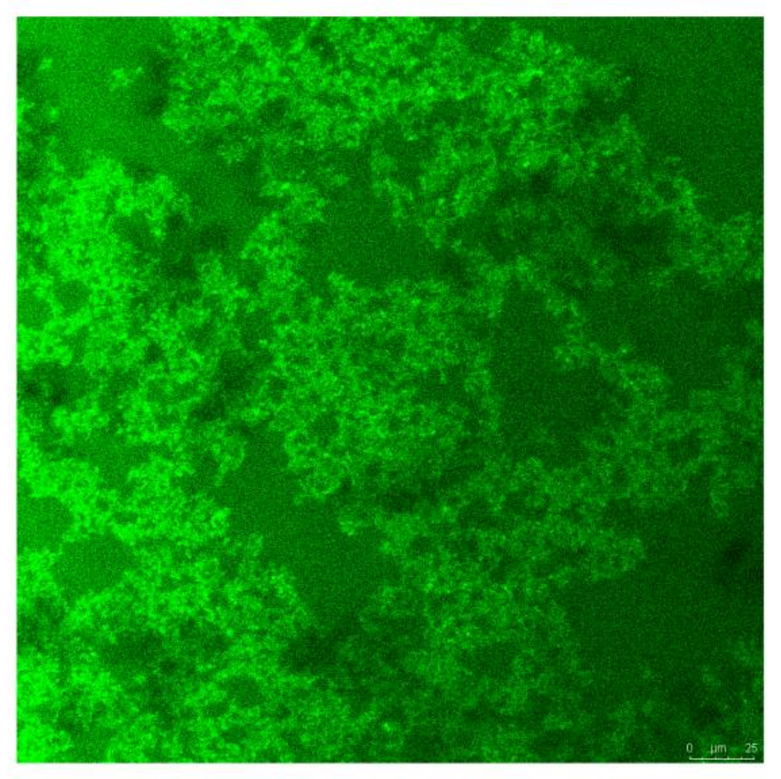 Molecules 27 00419 g008