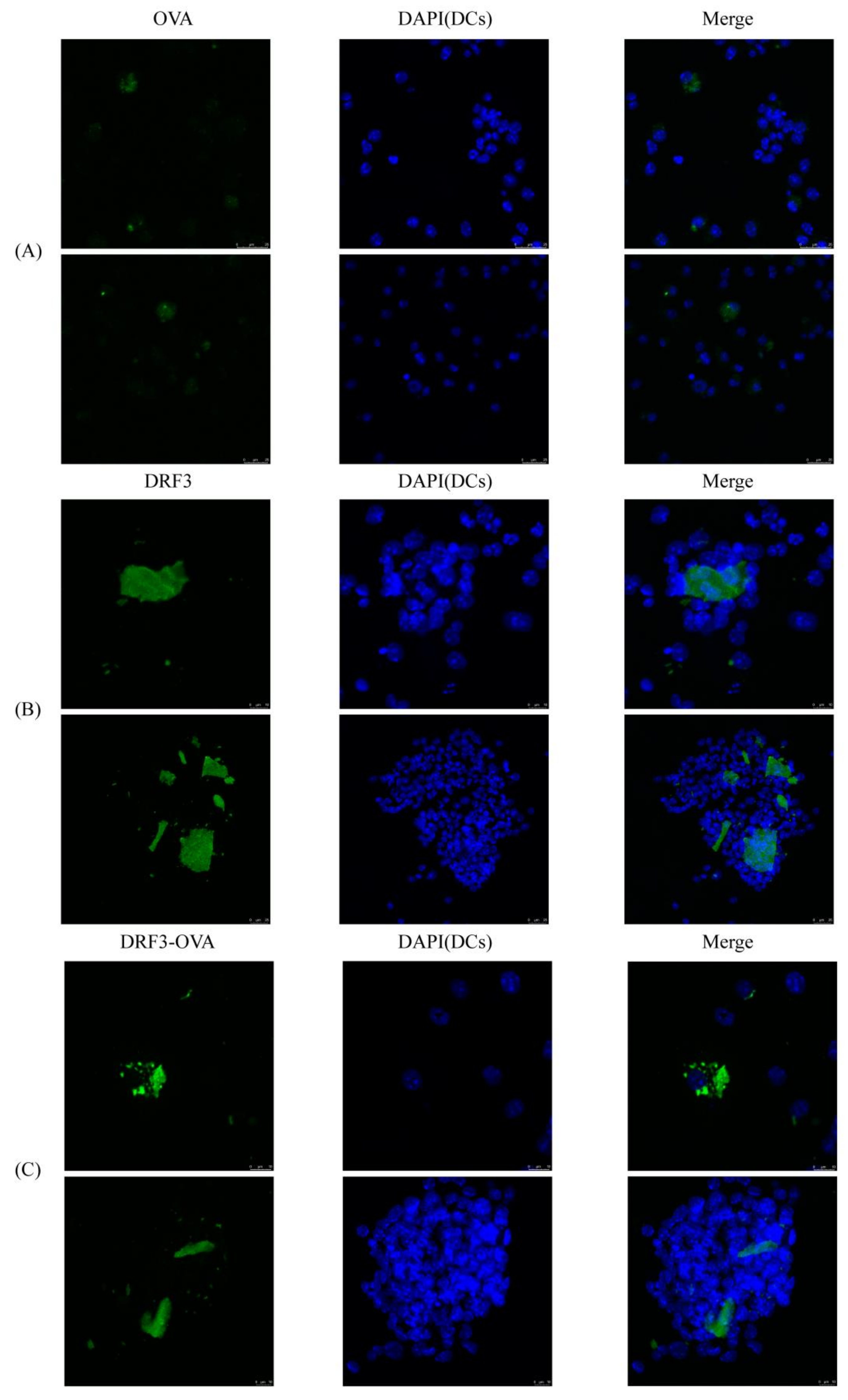 Molecules 27 00419 g011