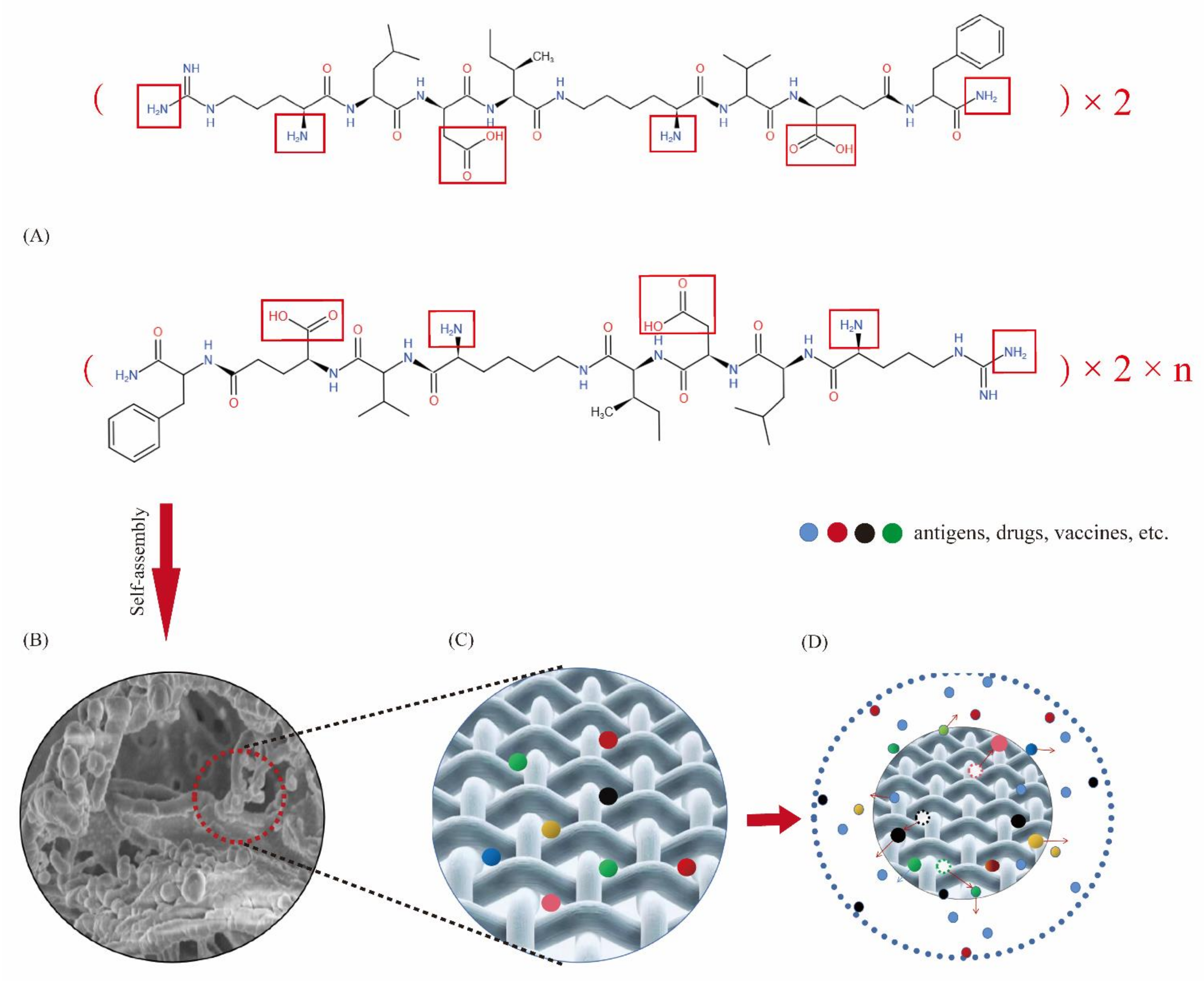 Molecules 27 00419 g014