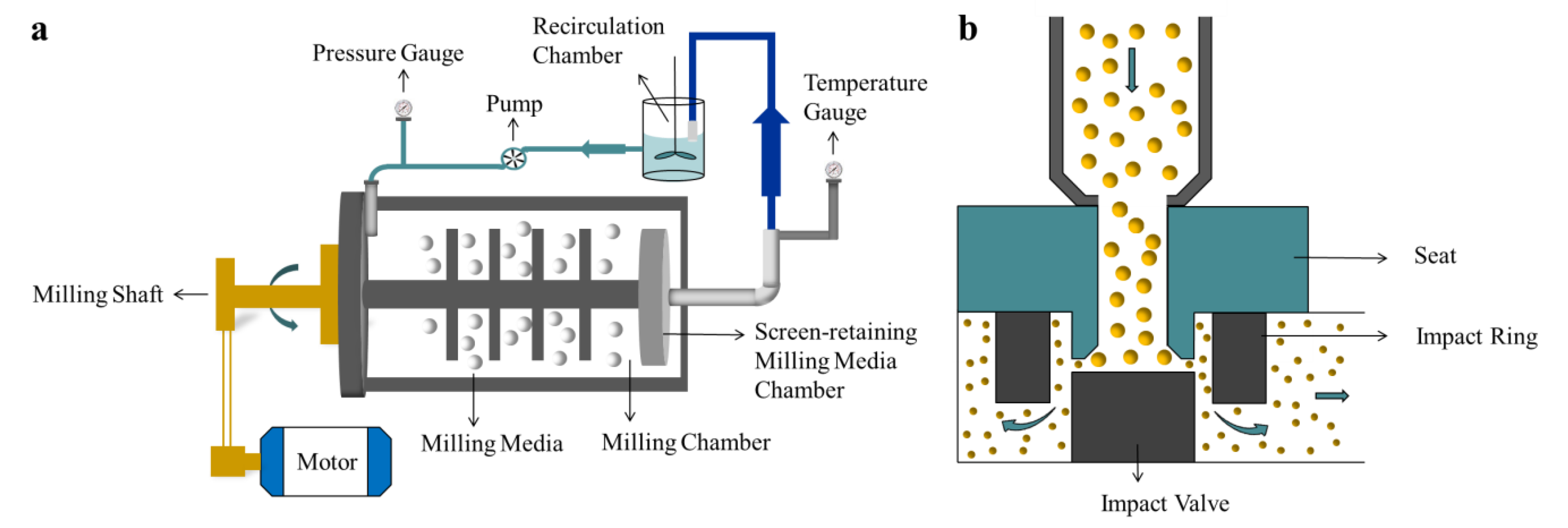 Molecules 27 00421 g001