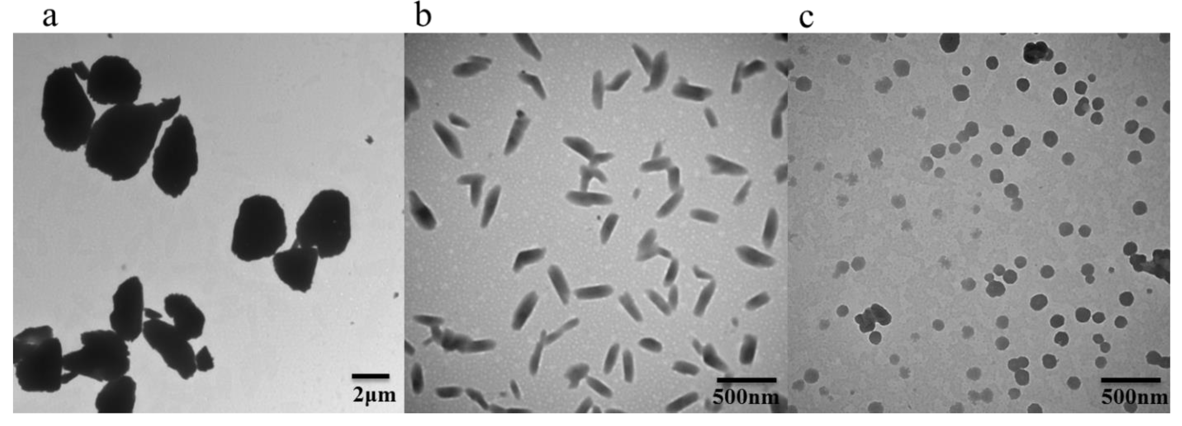 Molecules 27 00421 g002