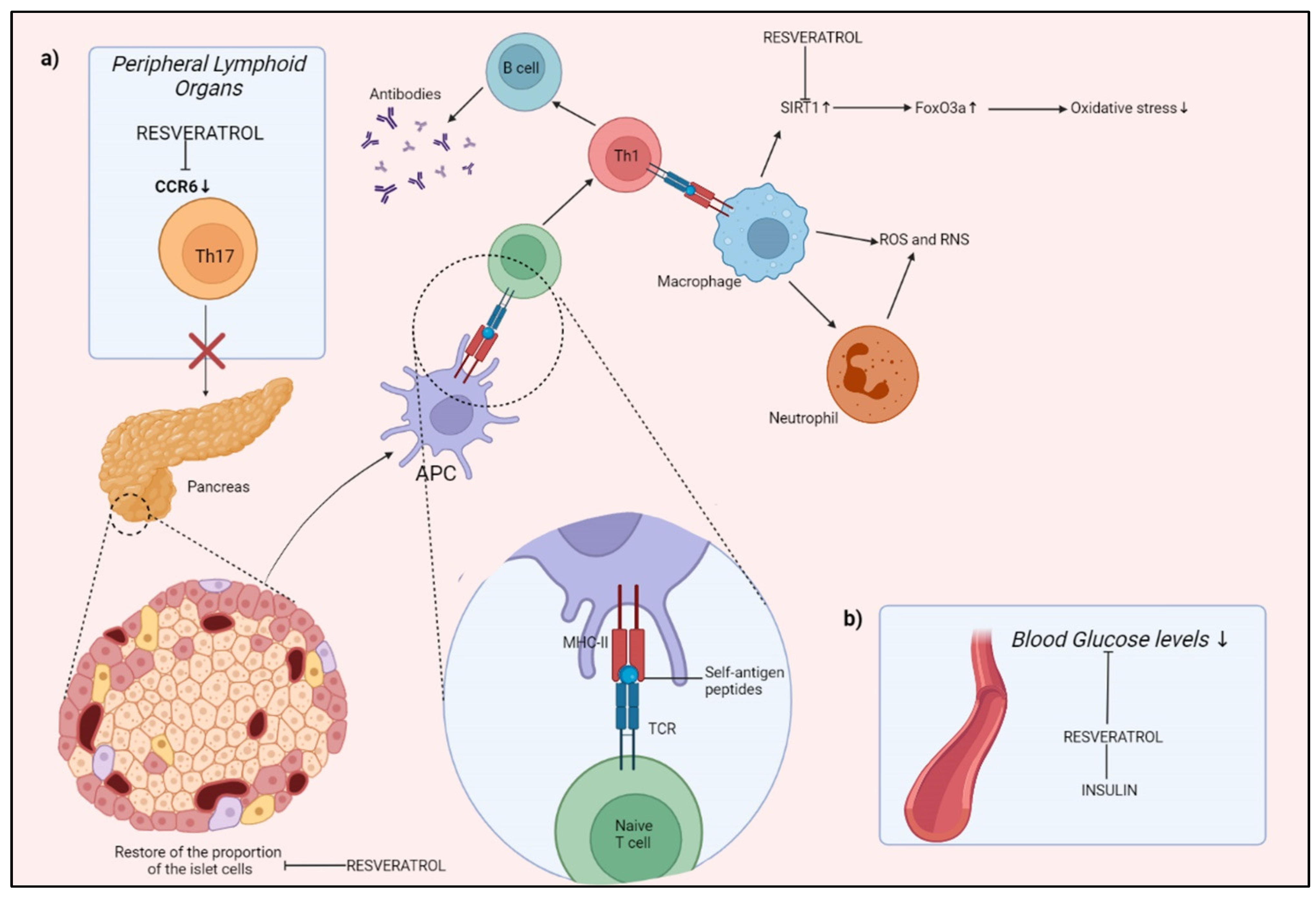 Molecules 27 00424 g004