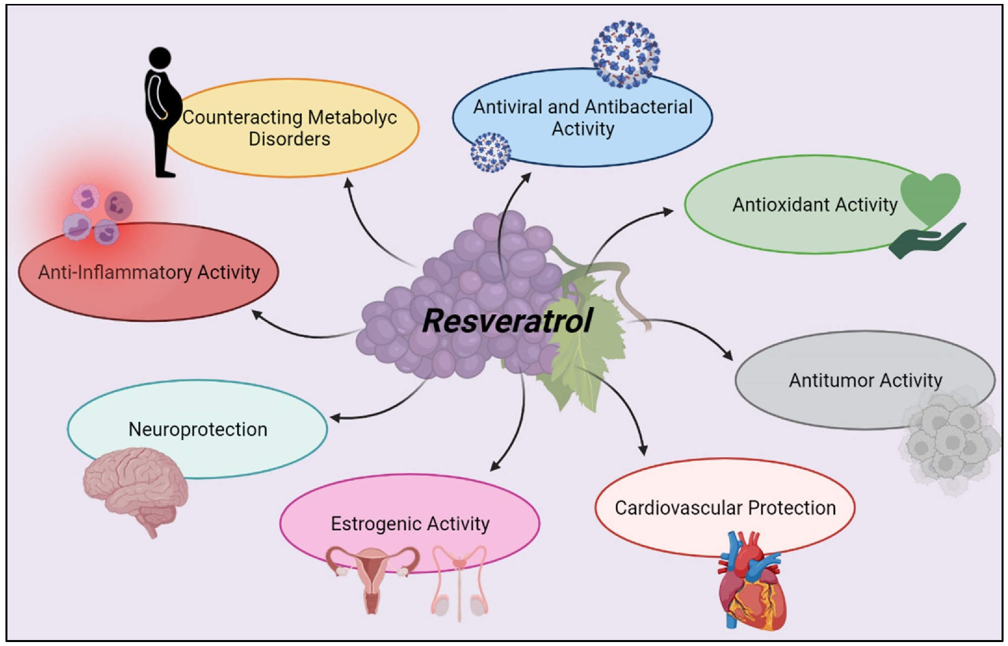 Molecules 27 00424 g005