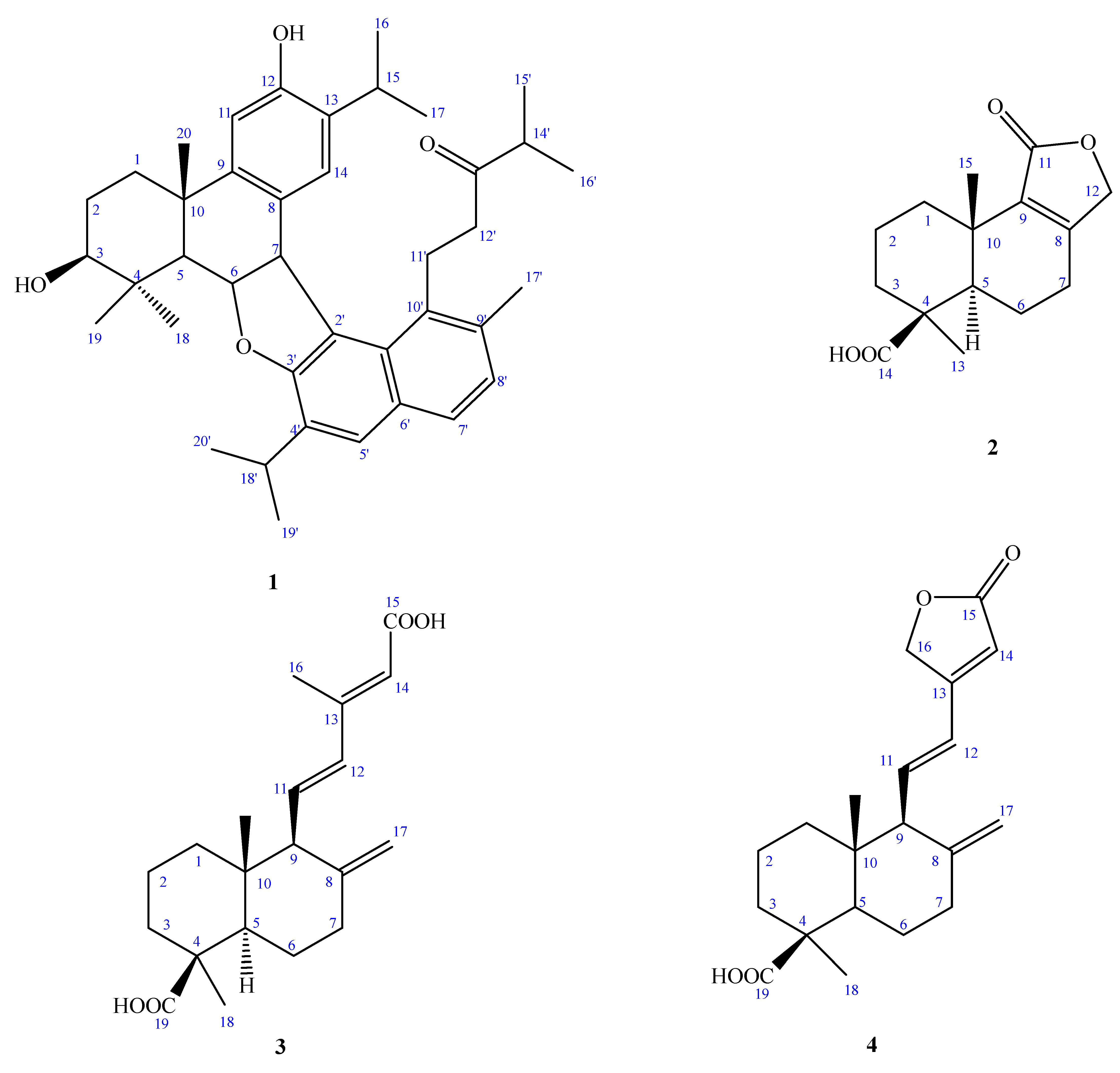 Molecules 27 00429 g001a