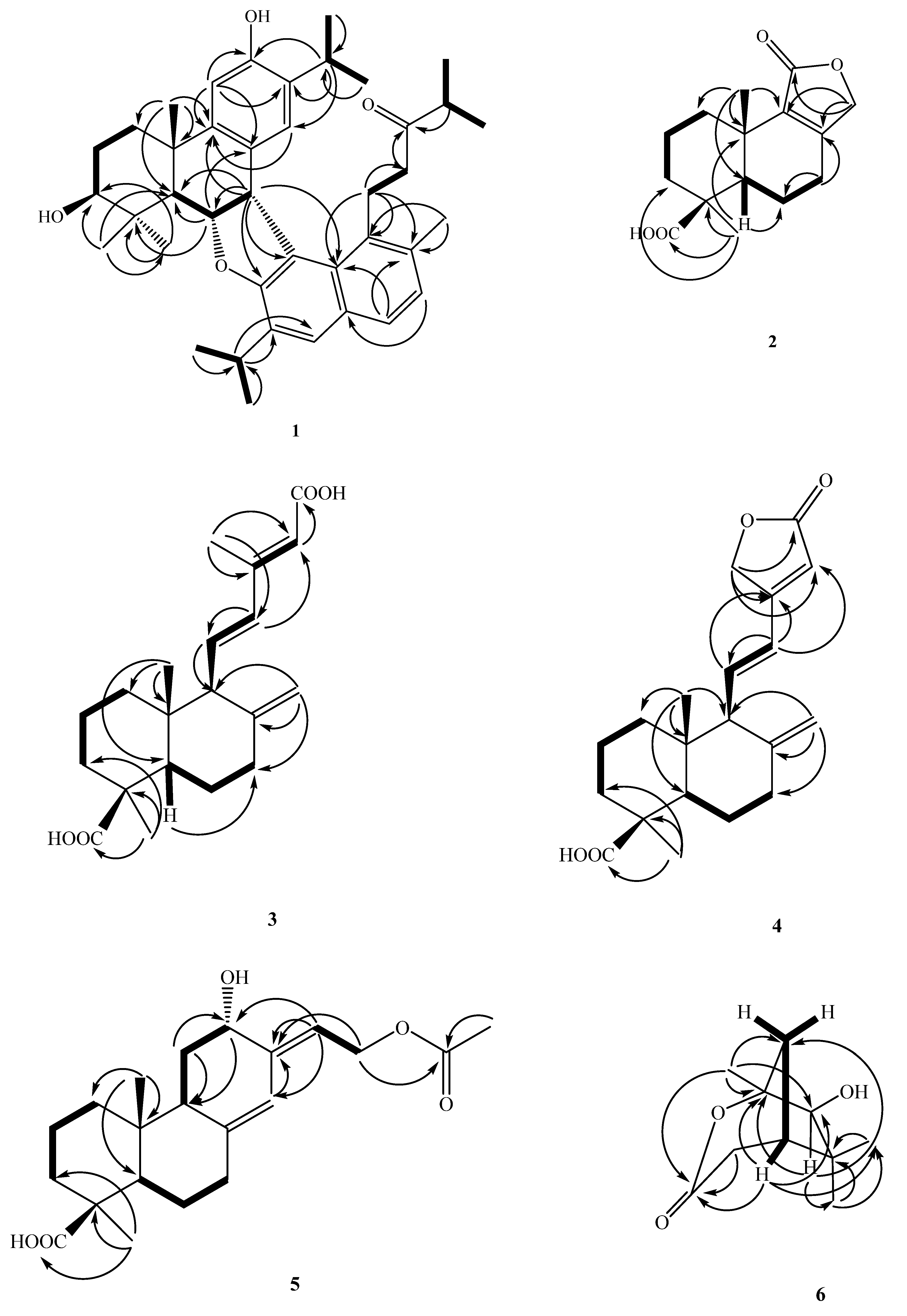 Molecules 27 00429 g002a