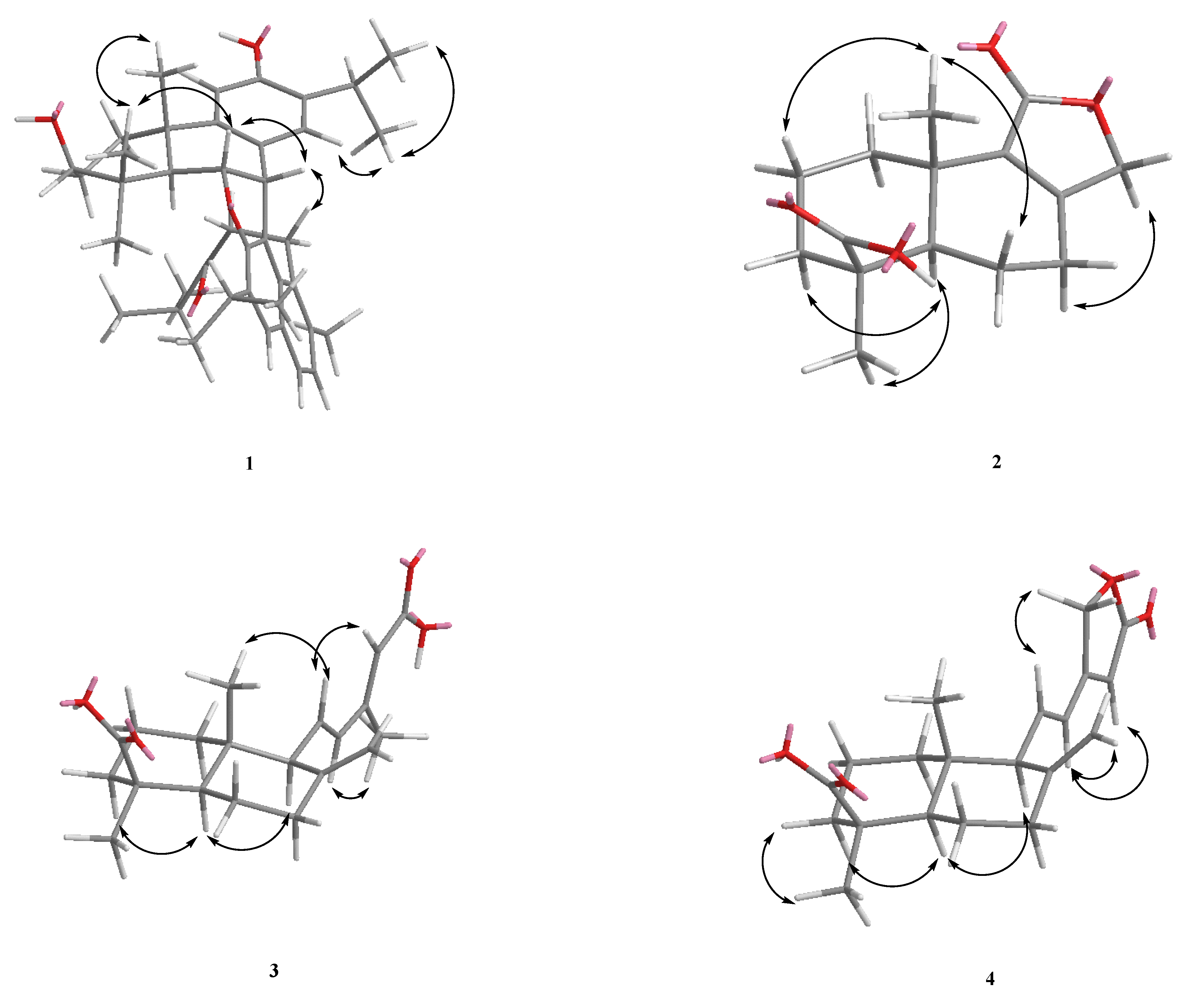 Molecules 27 00429 g003a