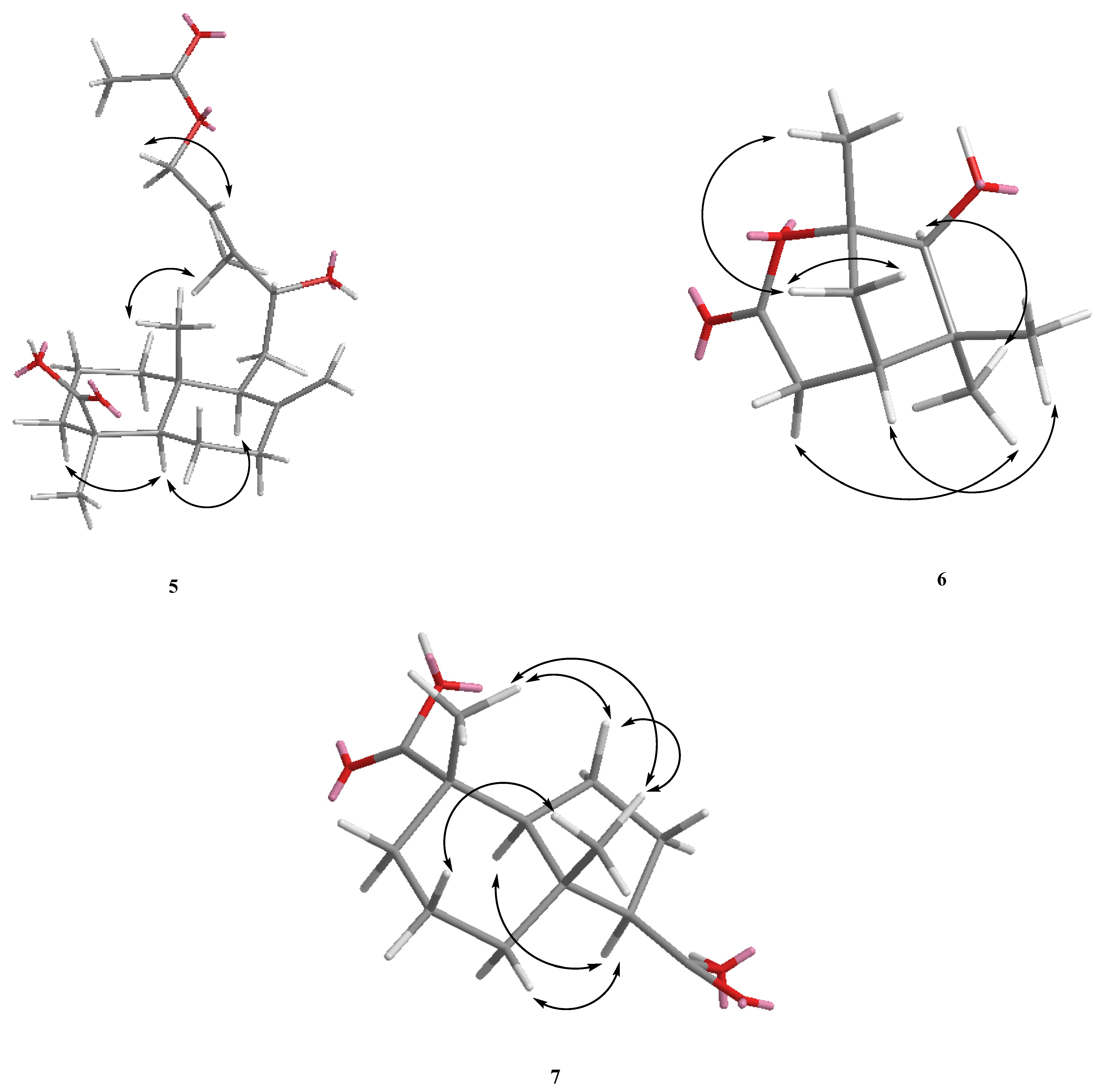 Molecules 27 00429 g003b