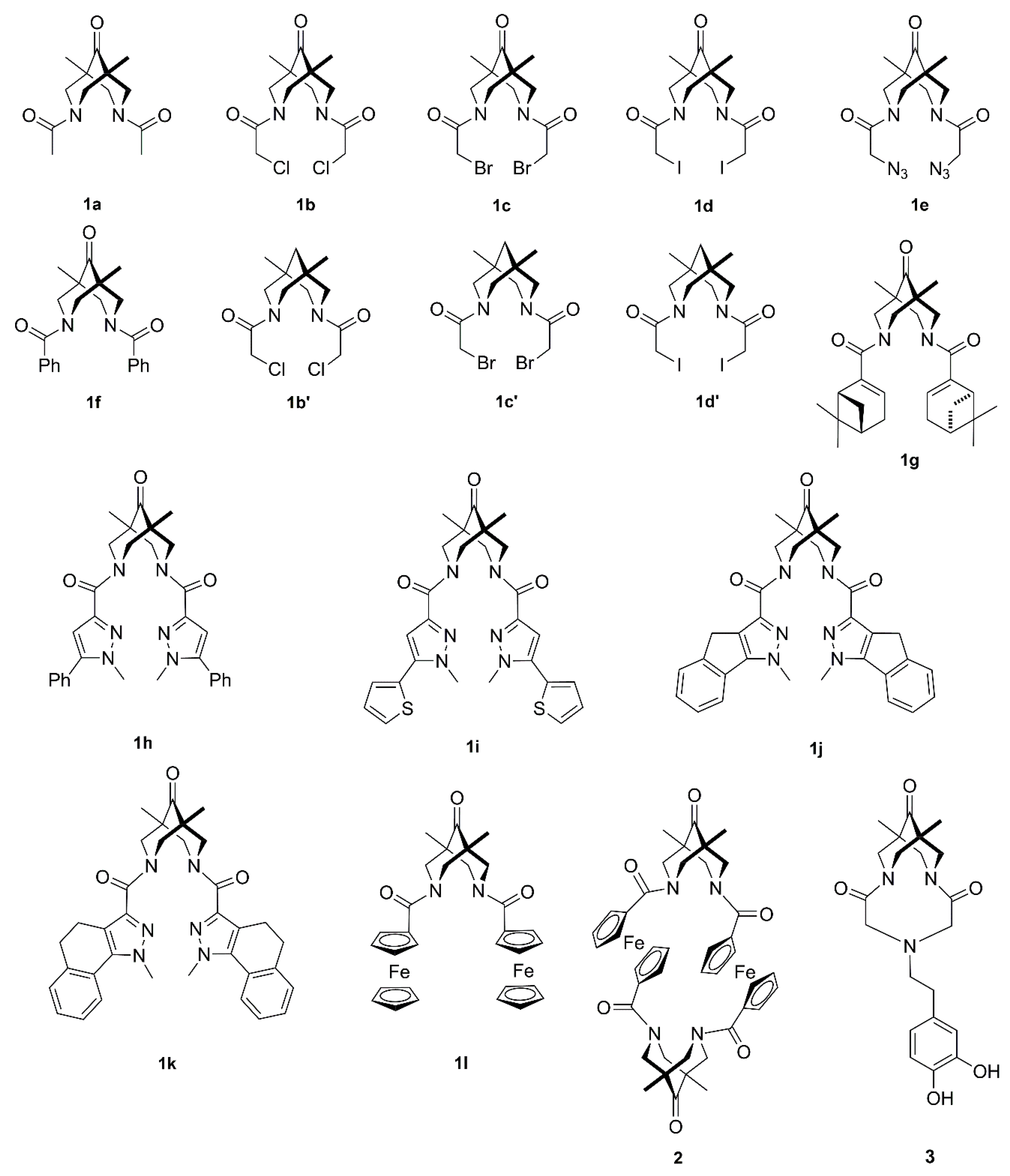 Molecules 27 00430 g001