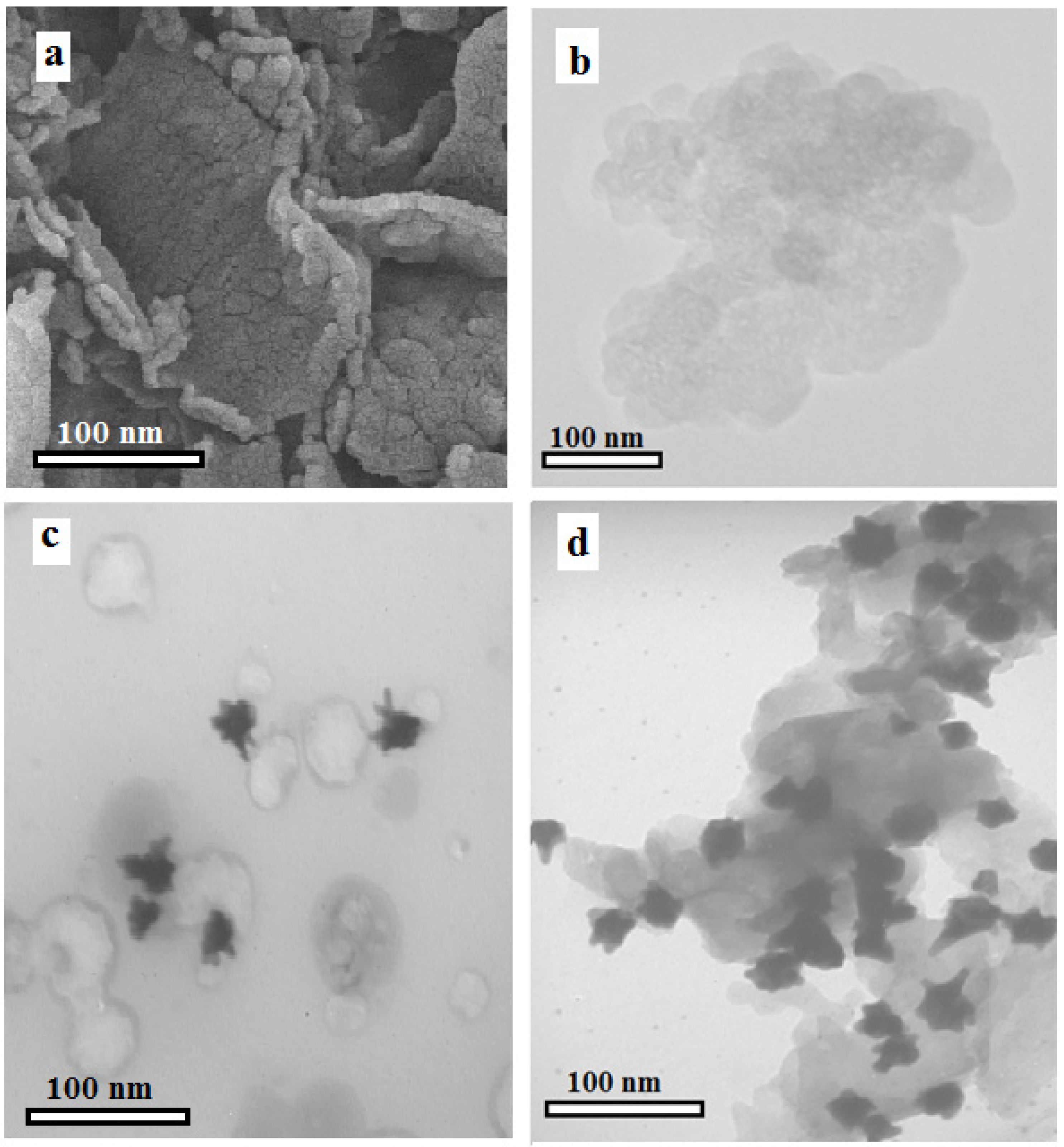 Molecules 27 00431 g001