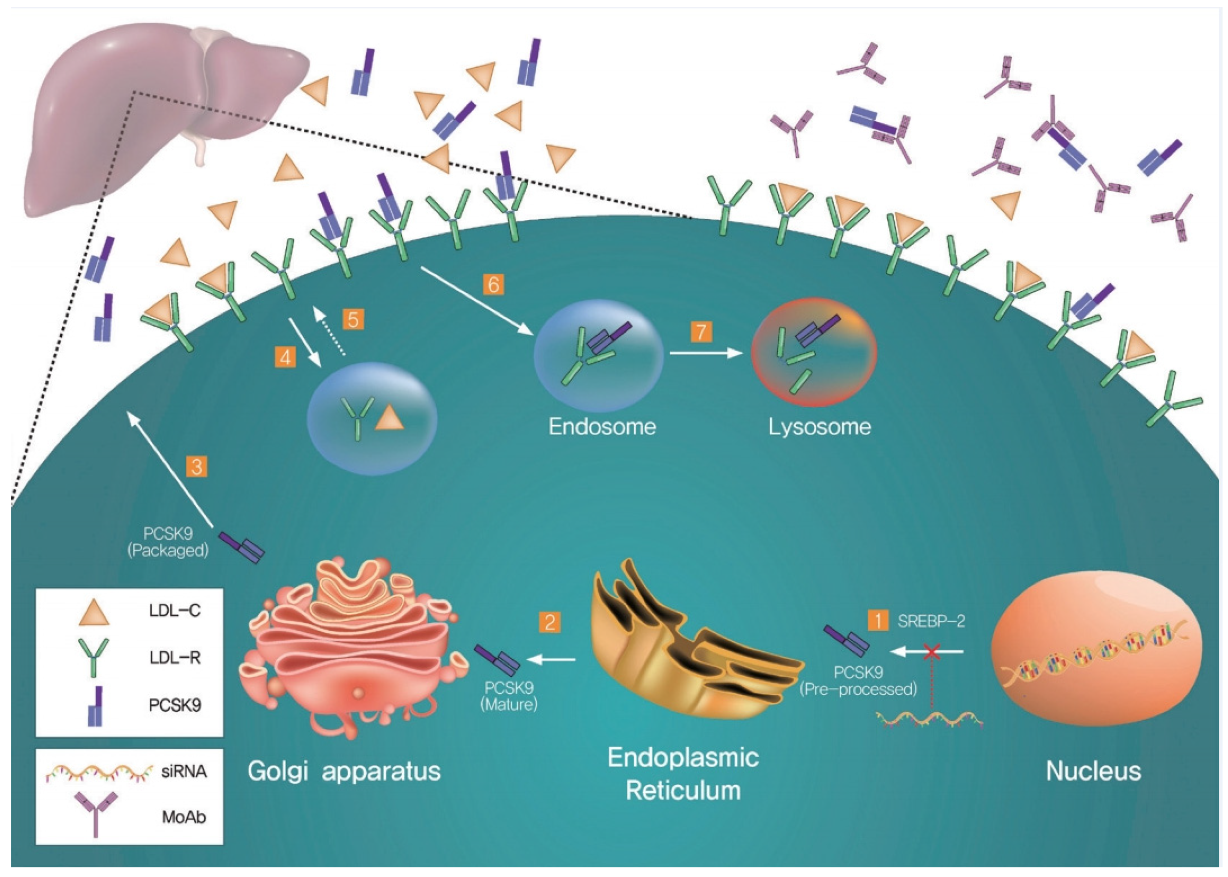 Molecules 27 00434 g002