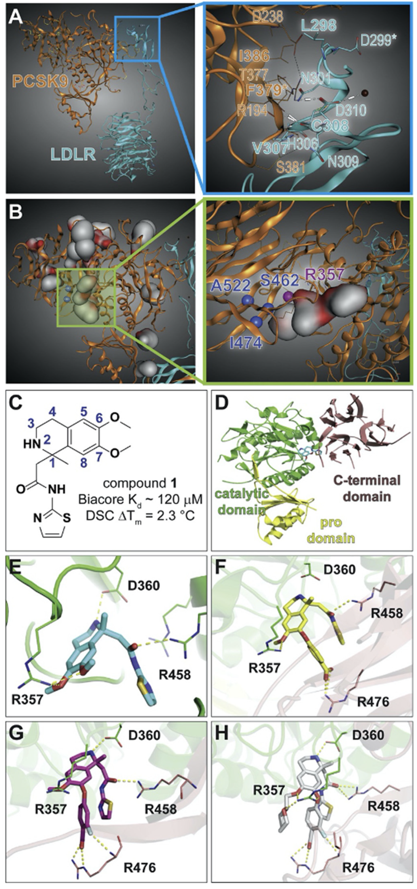 Molecules 27 00434 g004