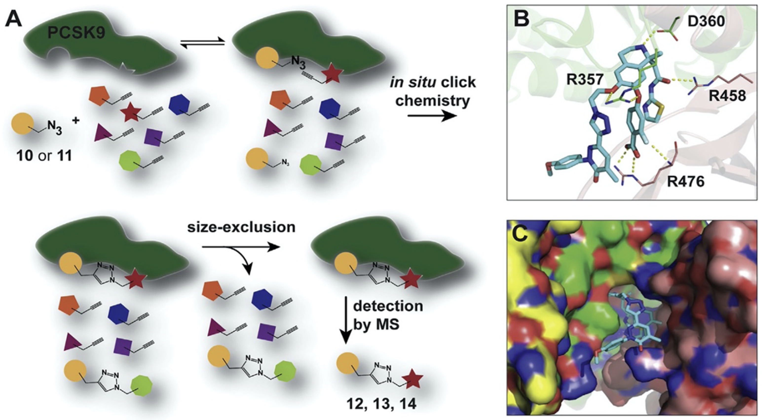 Molecules 27 00434 g005