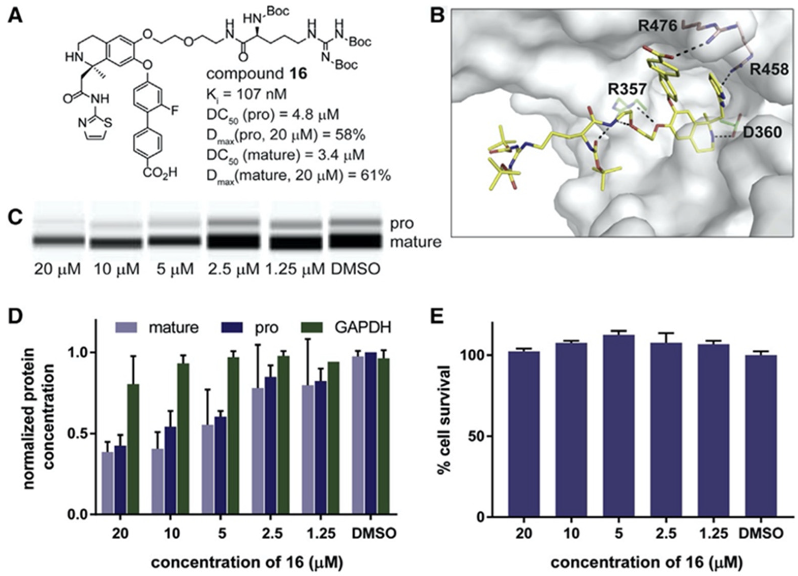 Molecules 27 00434 g006