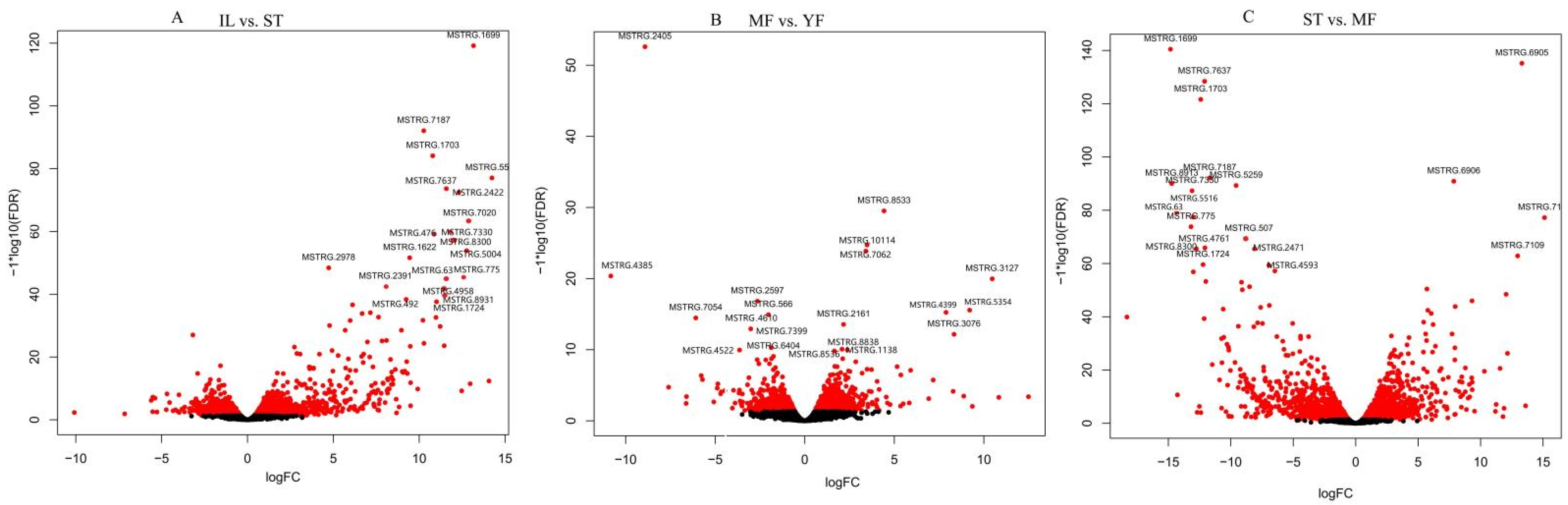 Molecules 27 00438 g002