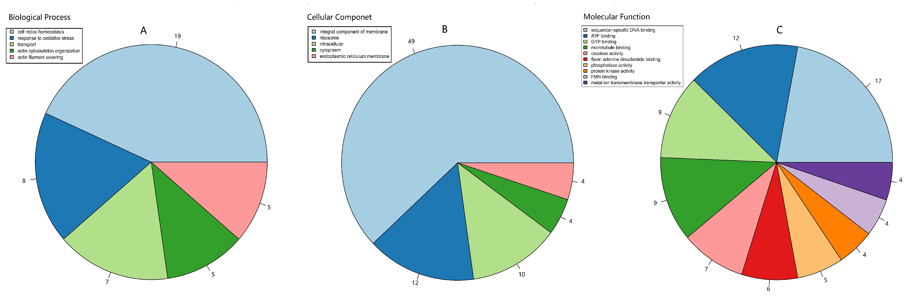 Molecules 27 00438 g004