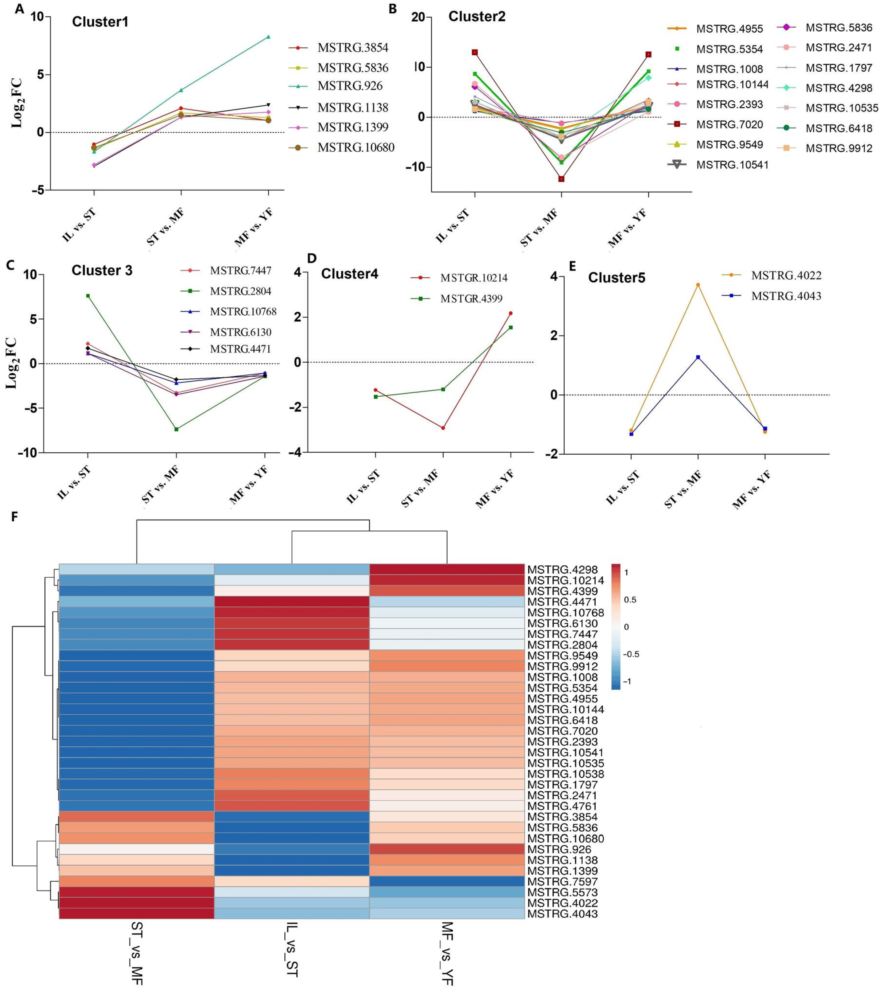 Molecules 27 00438 g006