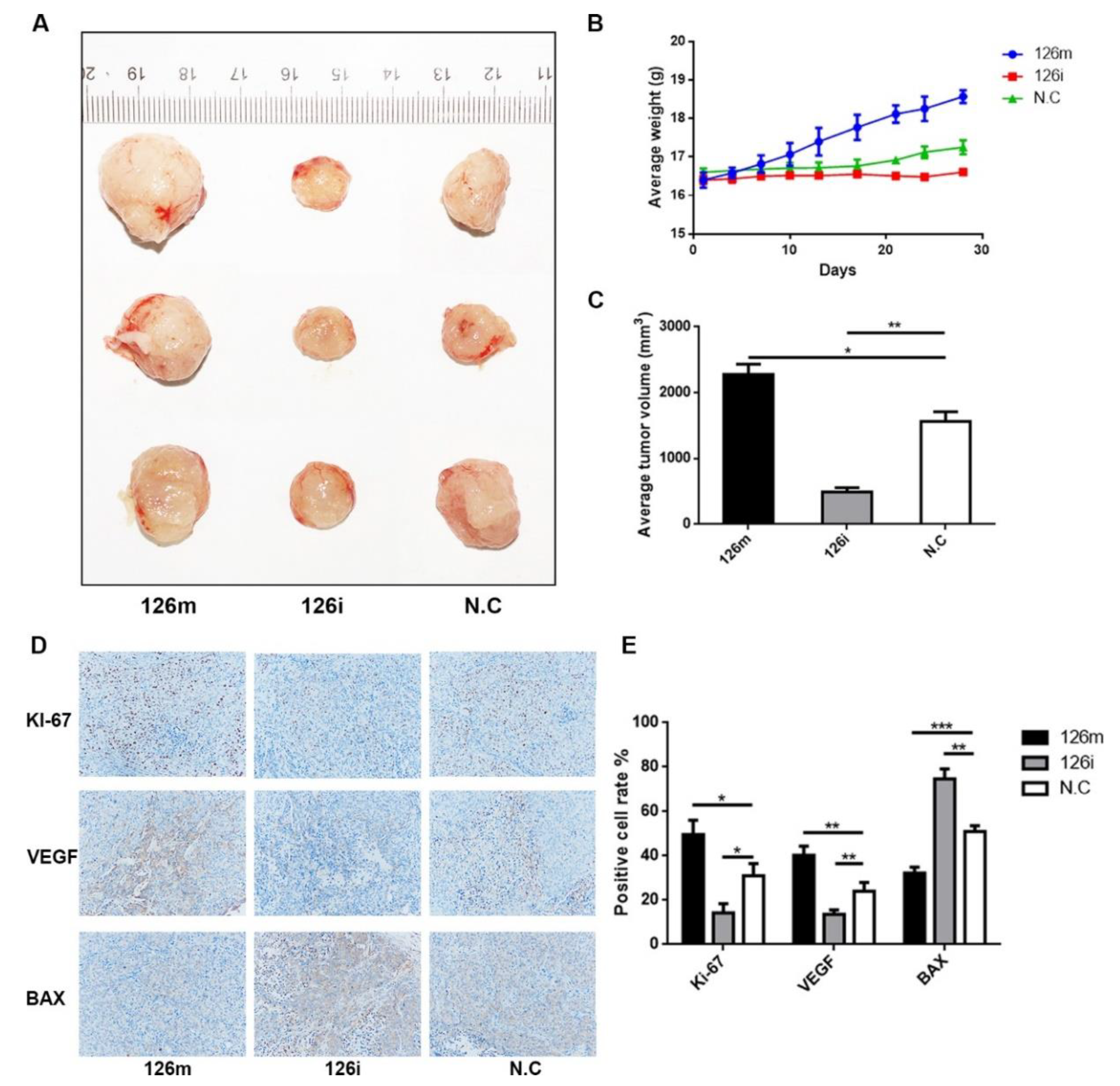 Molecules 27 00443 g005
