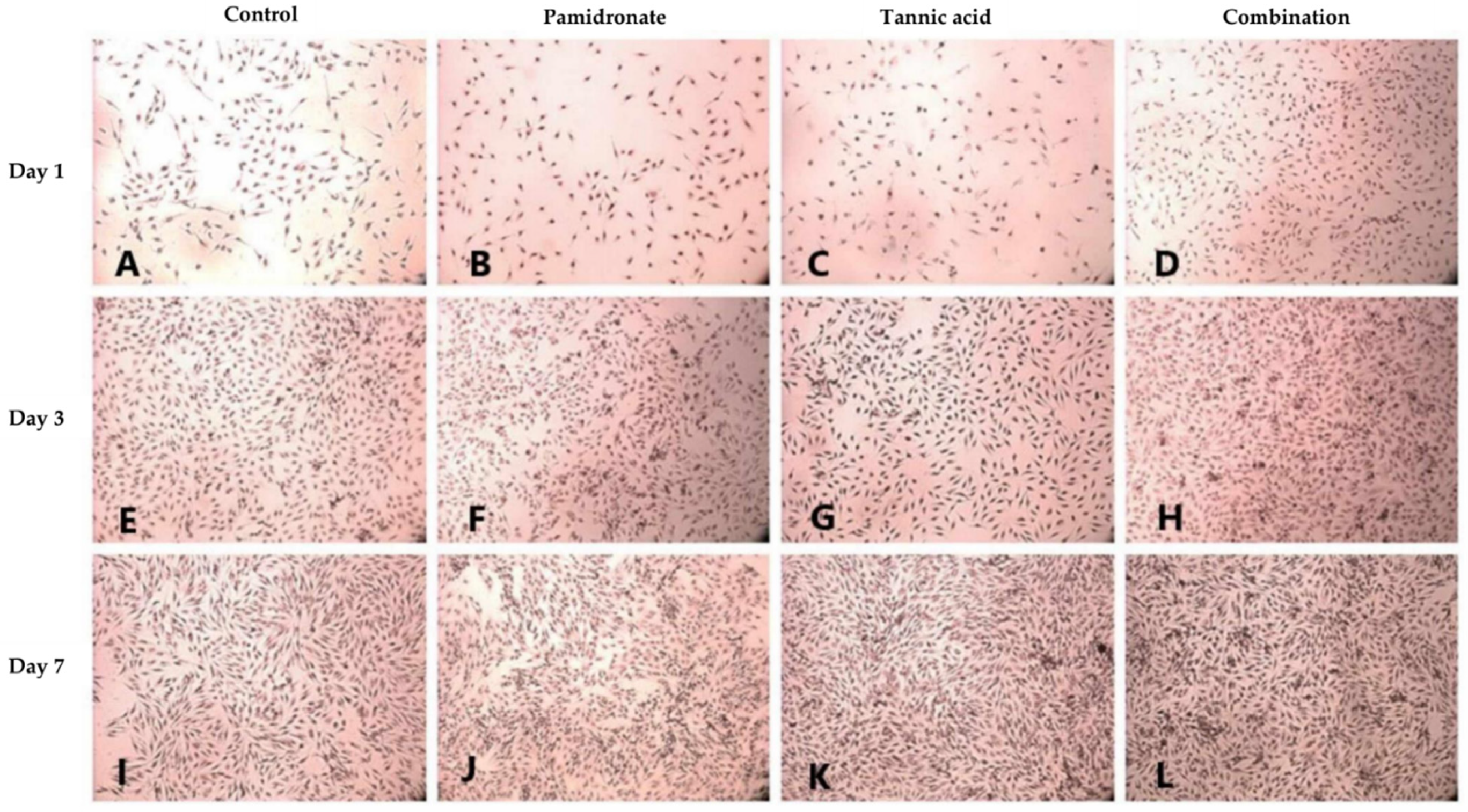 Molecules 27 00451 g003