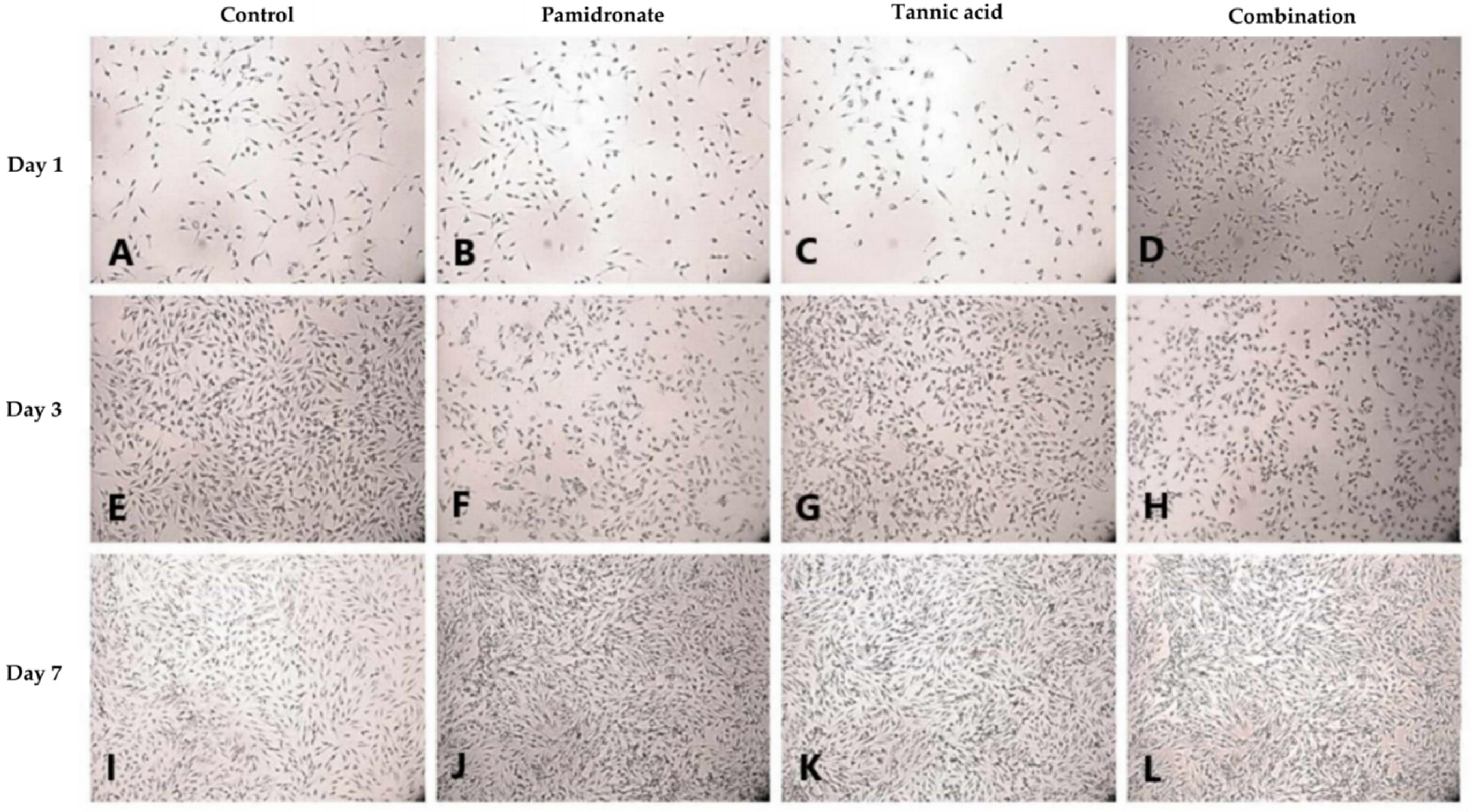 Molecules 27 00451 g004