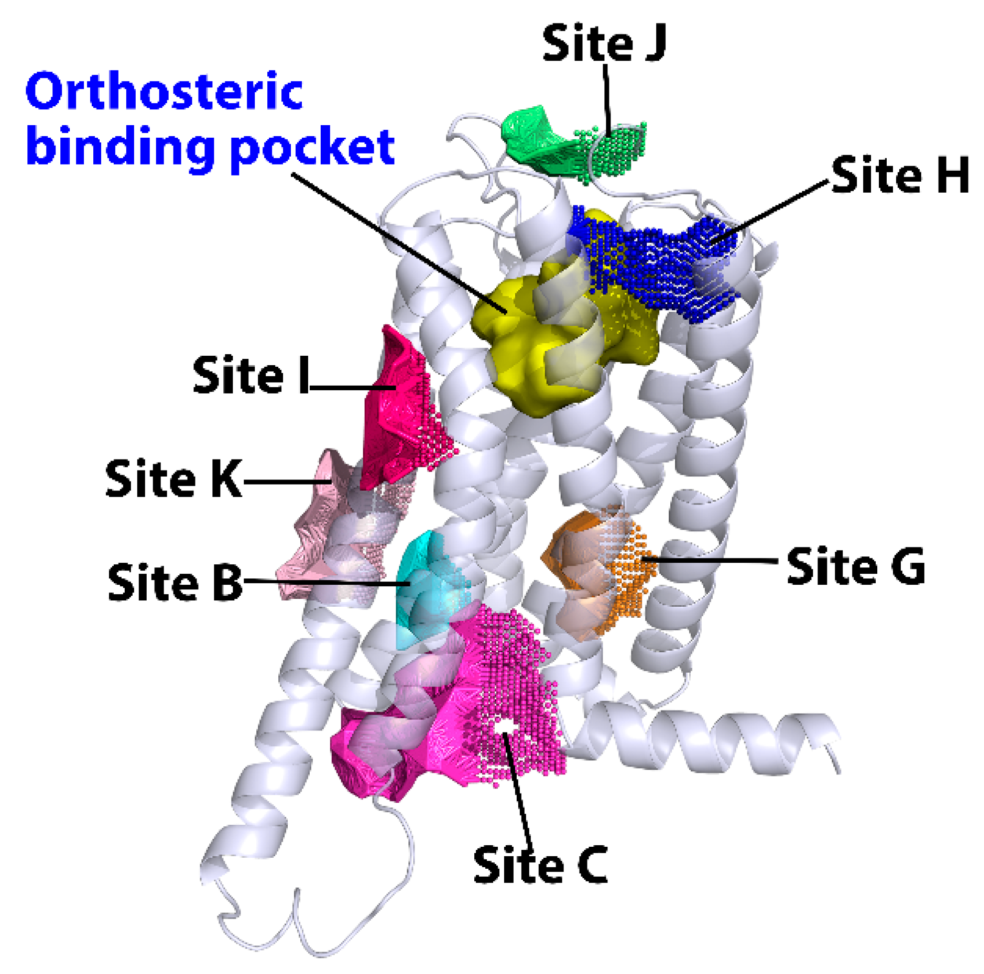 Molecules 27 00453 g001