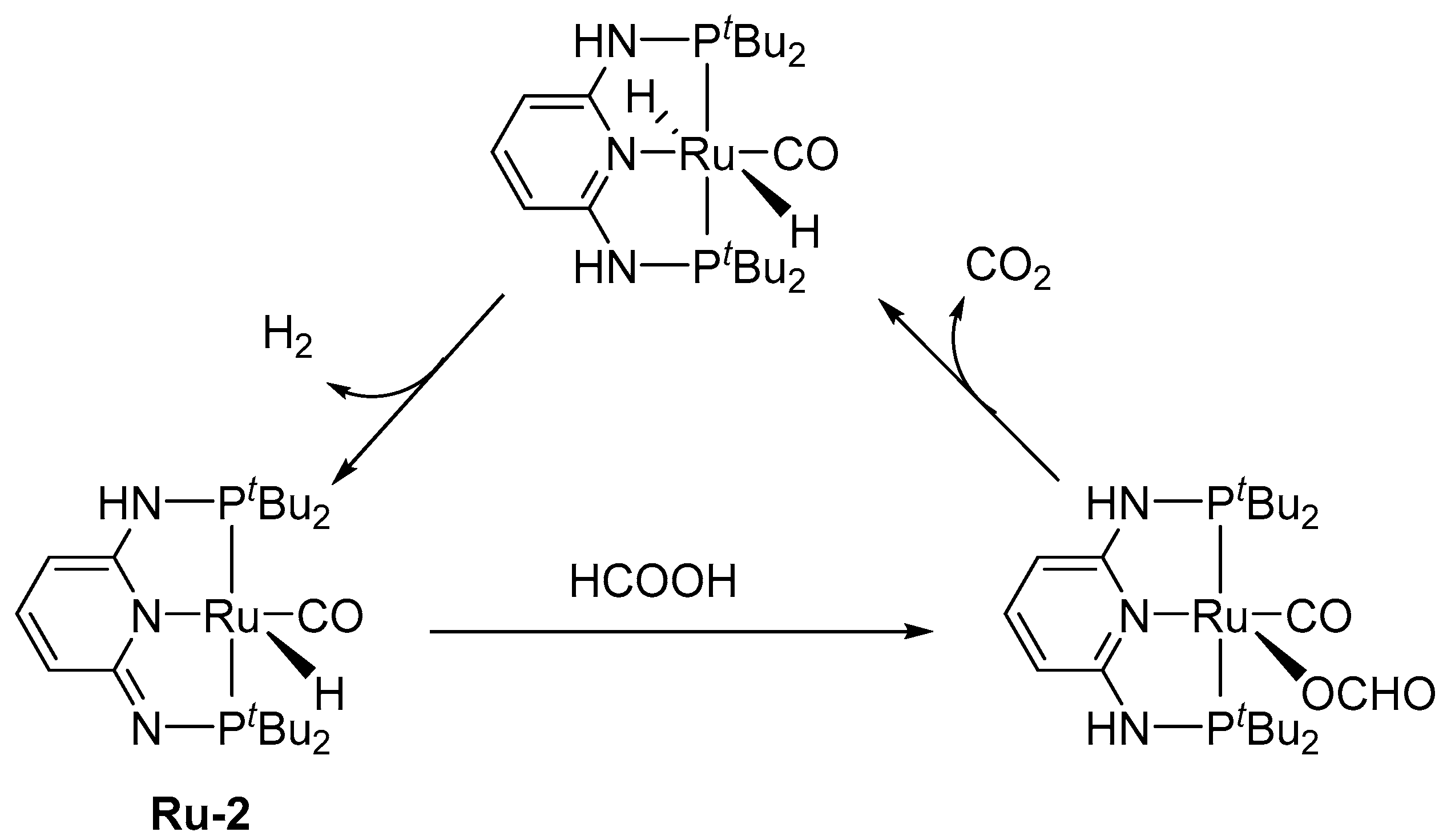 Molecules 27 00455 g002