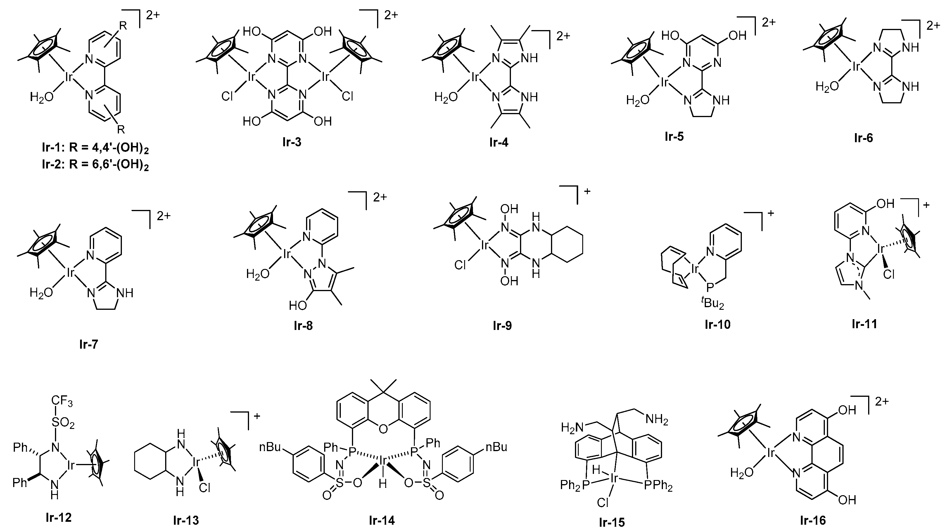 Molecules 27 00455 g004
