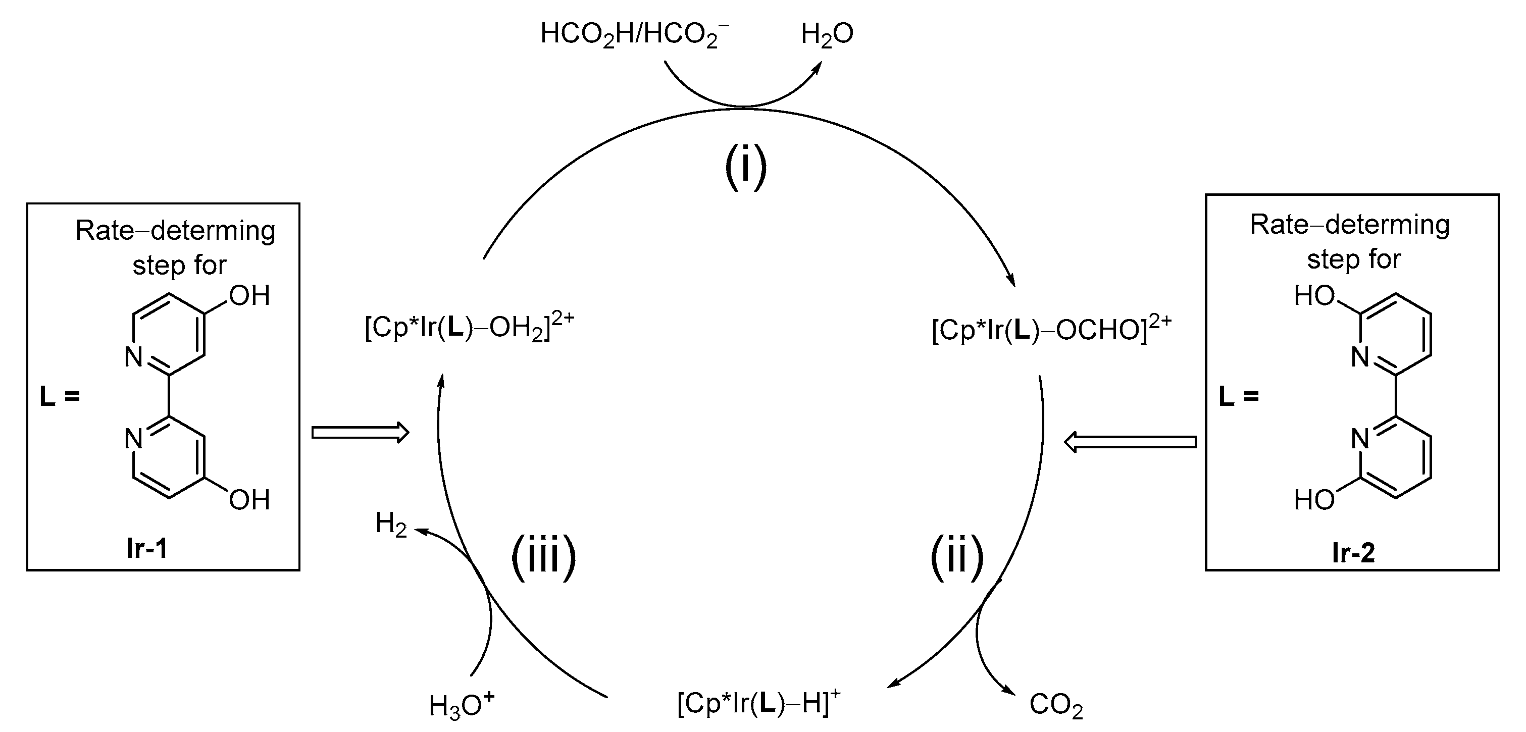 Molecules 27 00455 g005