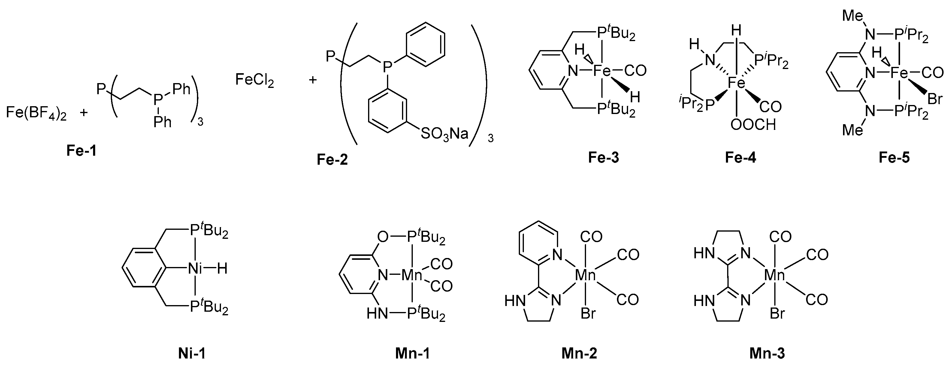 Molecules 27 00455 g007