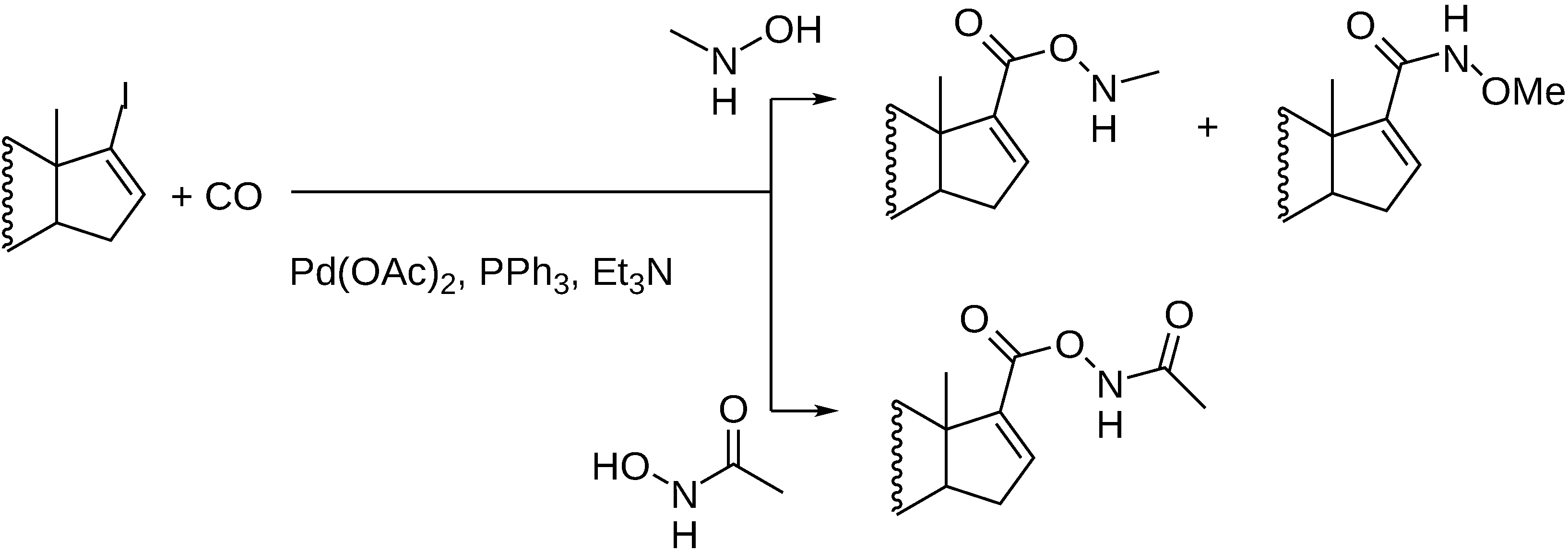 Molecules 27 00460 g014